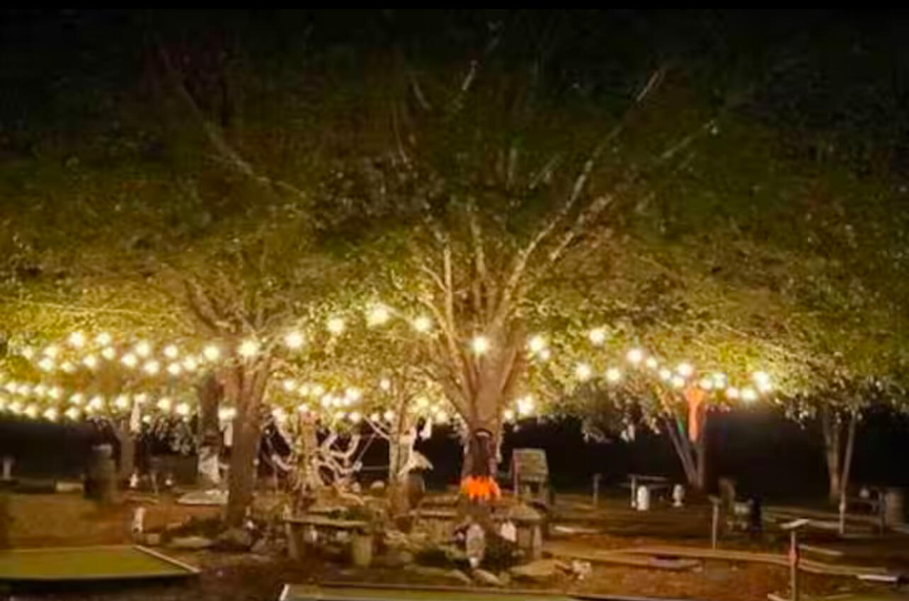 2936 Valley Springs Way