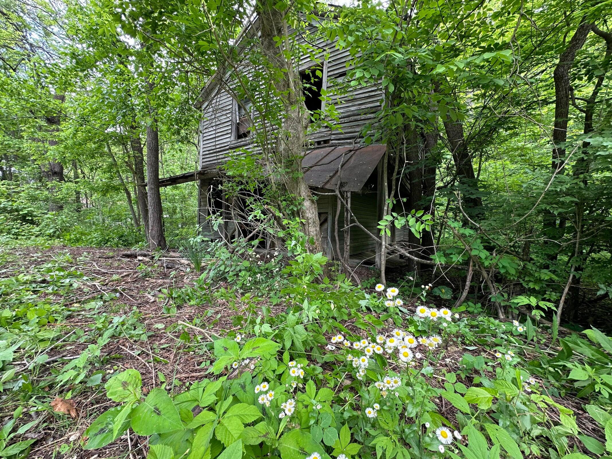 4105 Cosby Highway