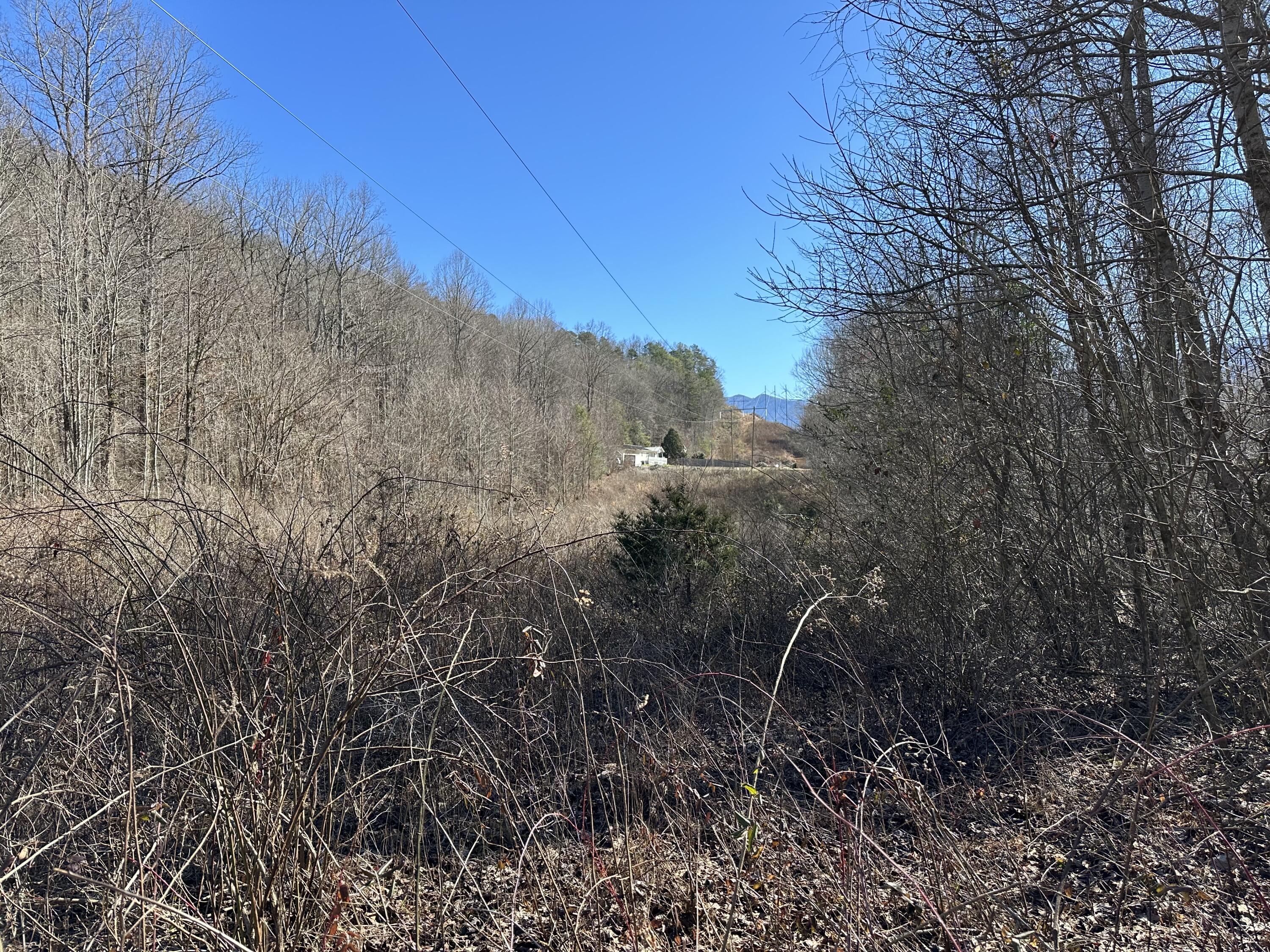 4105 Cosby Highway