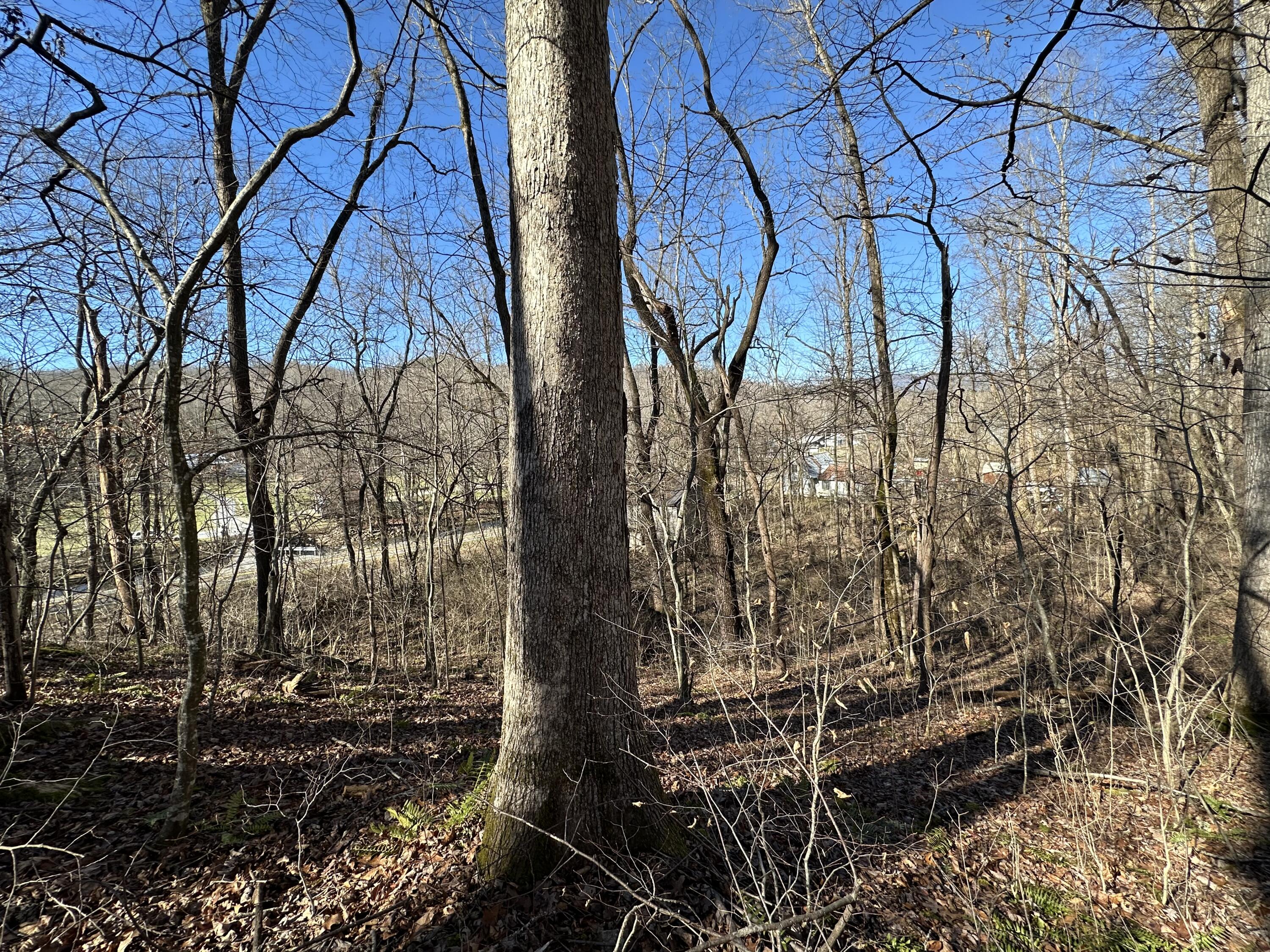 4105 Cosby Highway