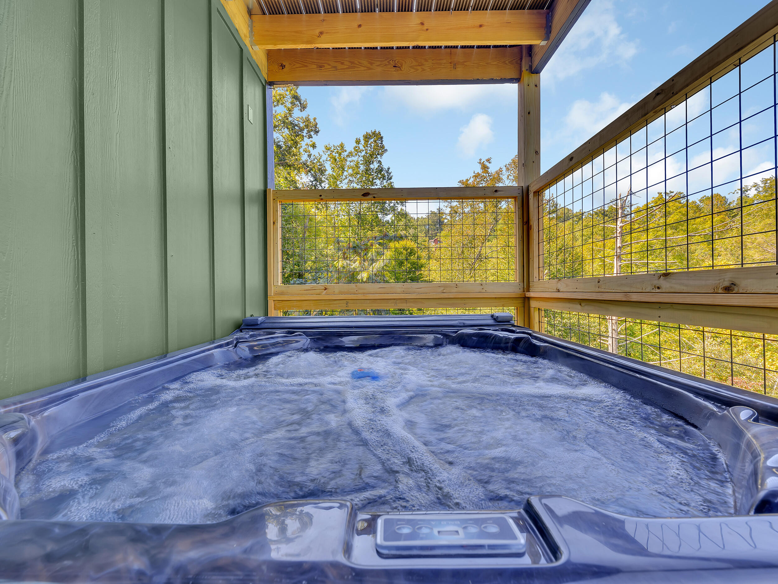 221 Chimney Tops Way