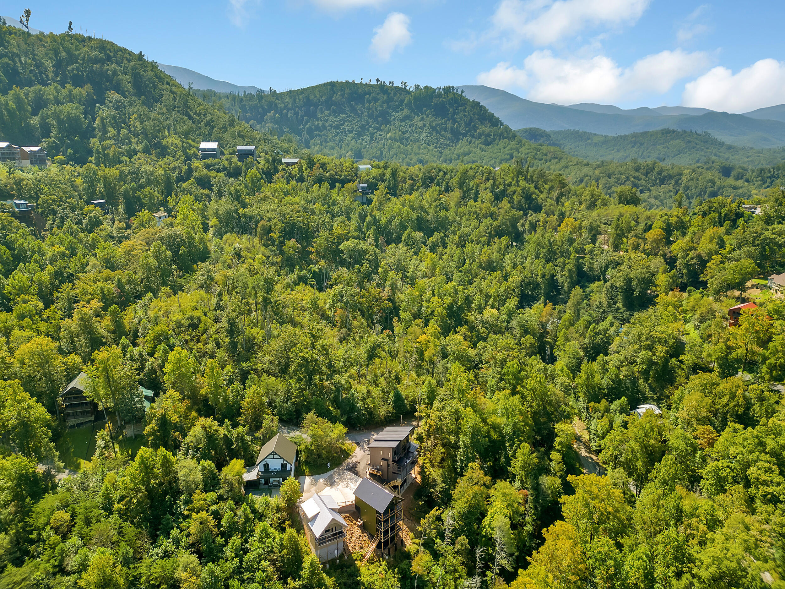 221 Chimney Tops Way