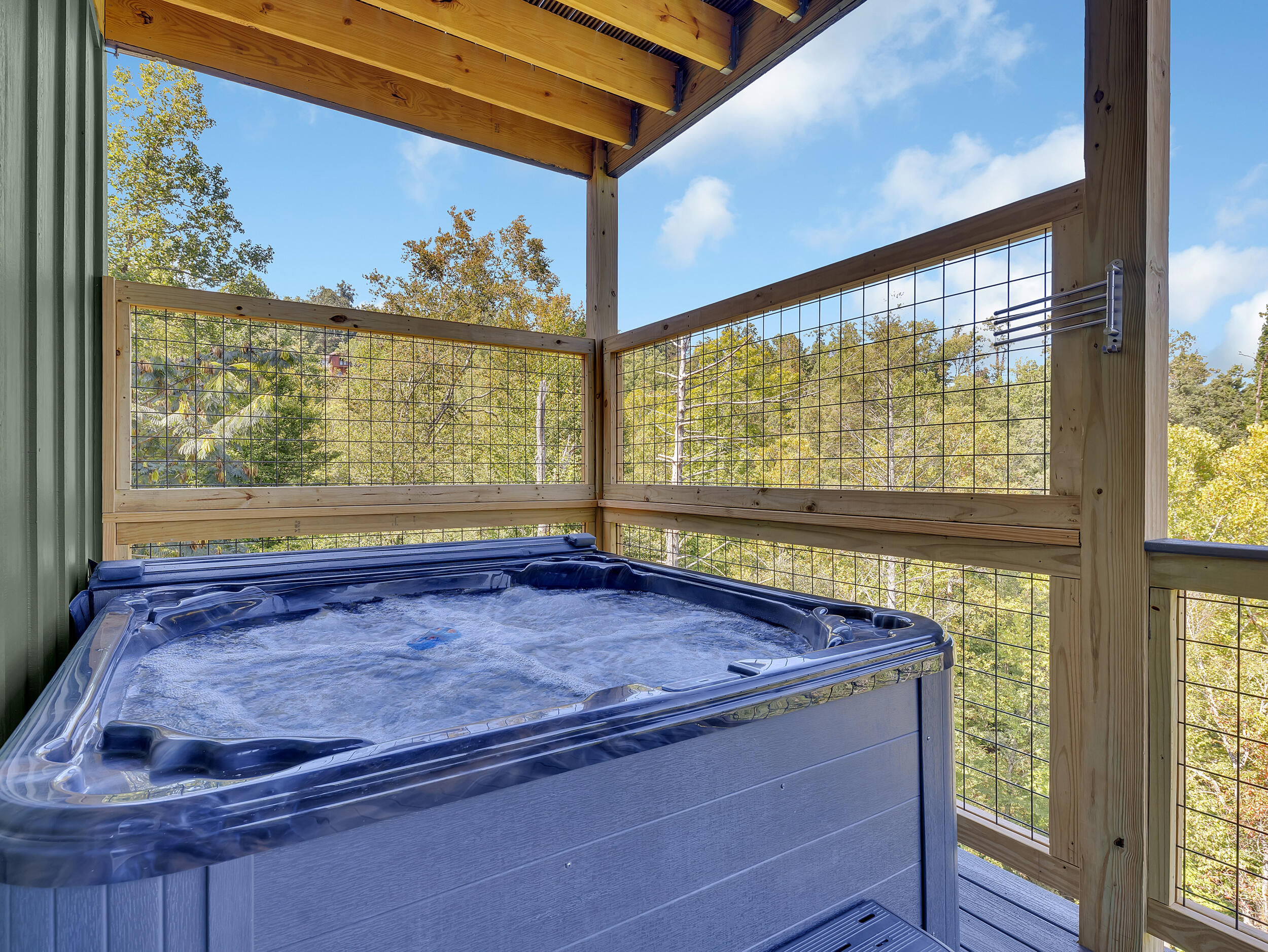 221 Chimney Tops Way