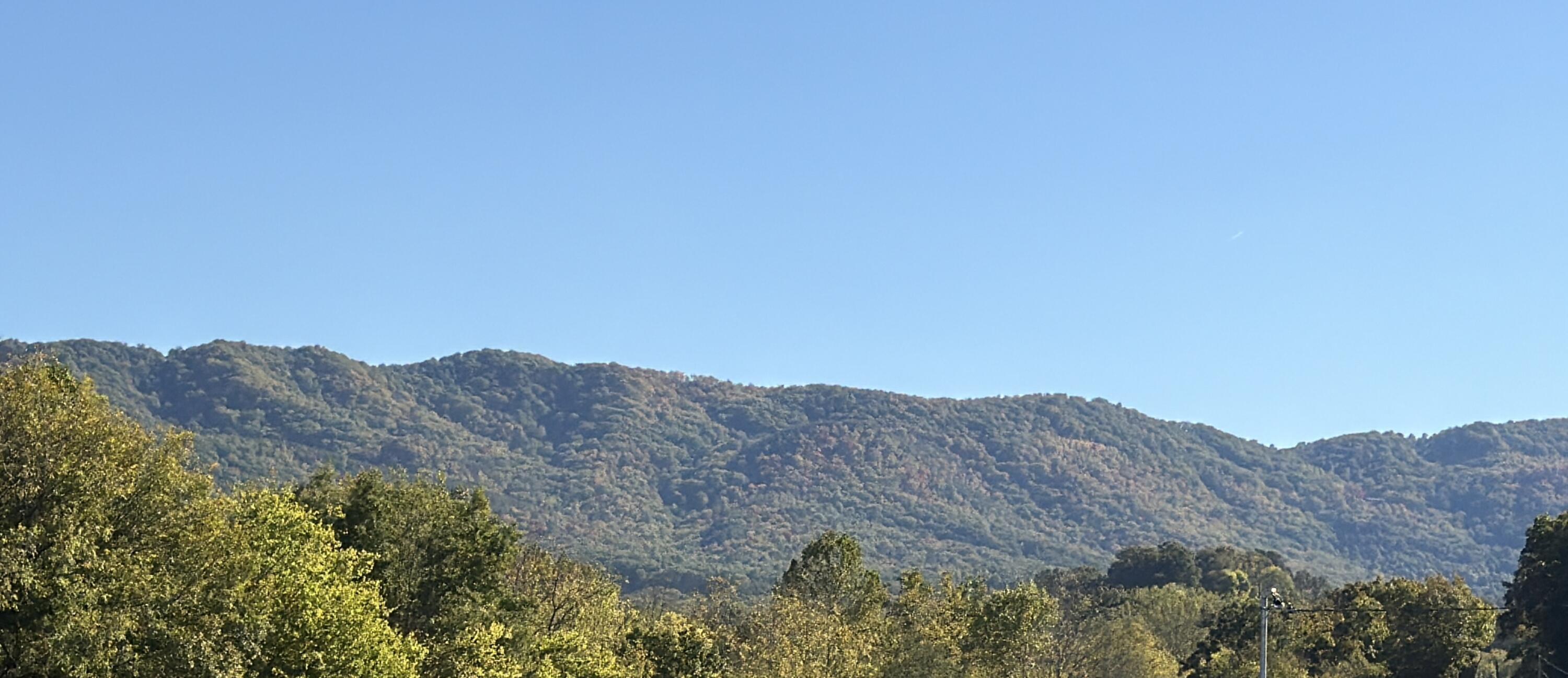 185 Little Meadow Creek Road