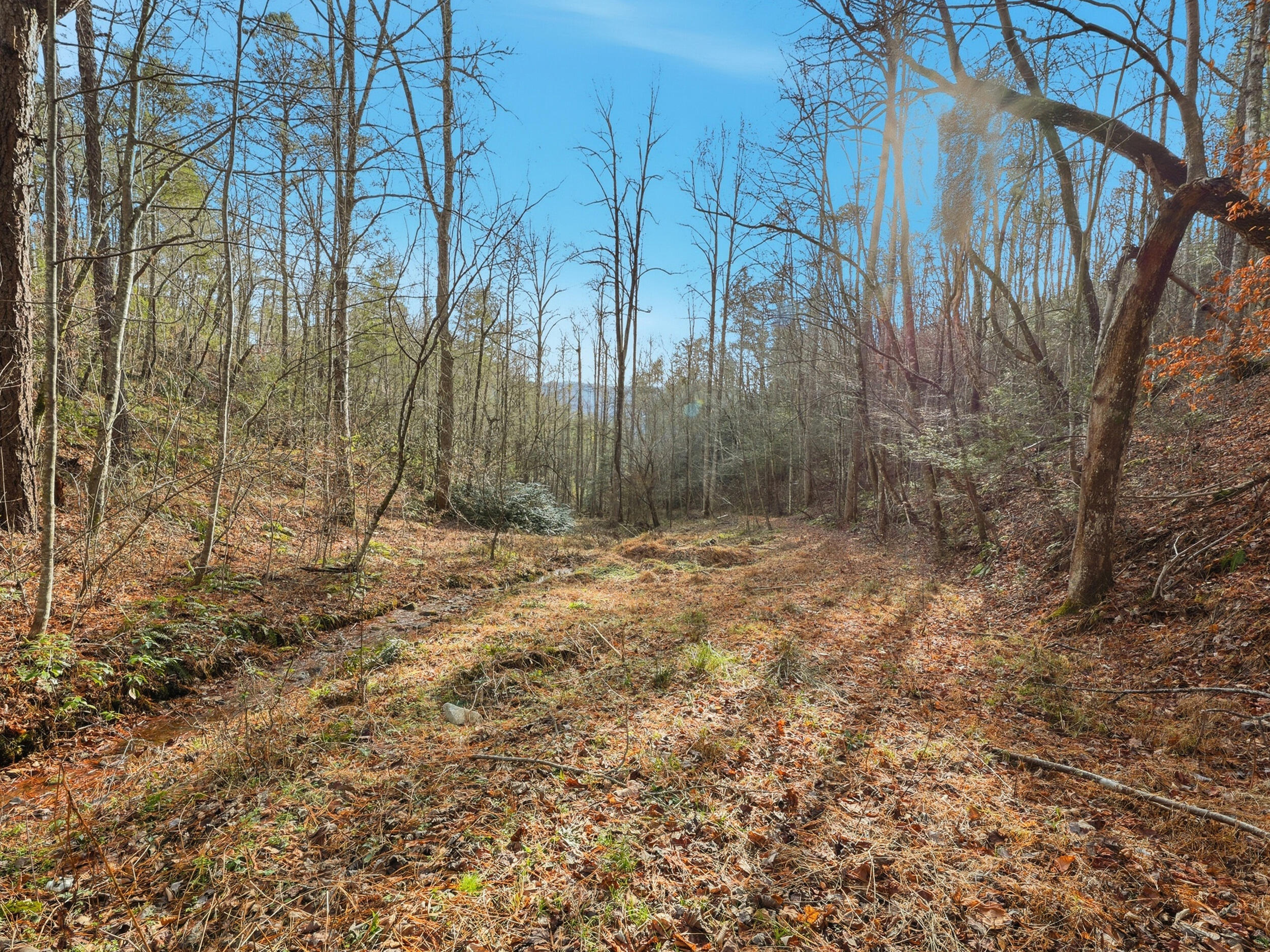 1R-1 Branam Hollow Road