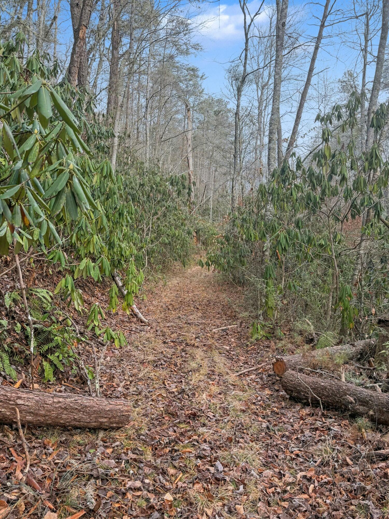 1R-1 Branam Hollow Road