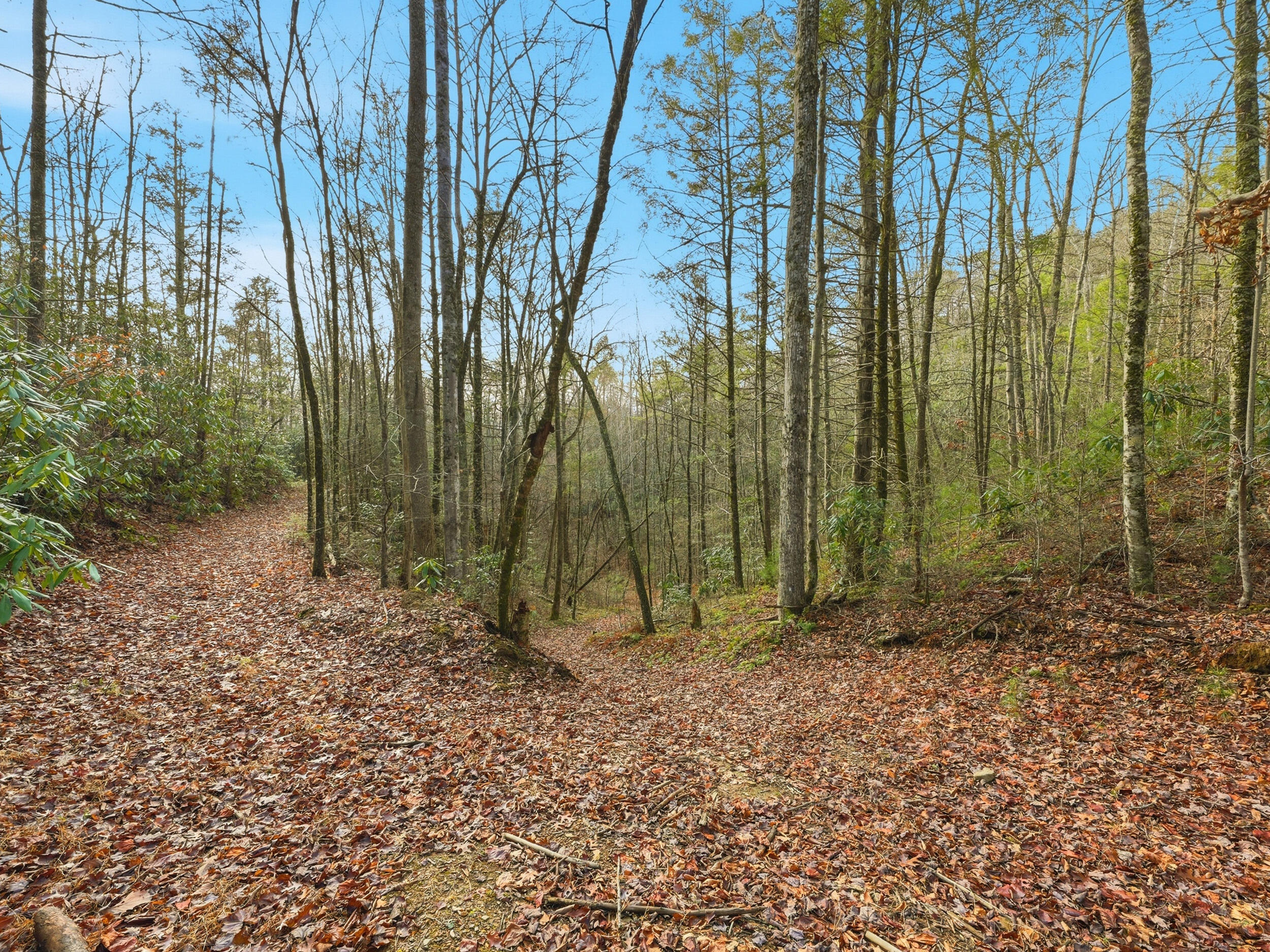 1R-1 Branam Hollow Road