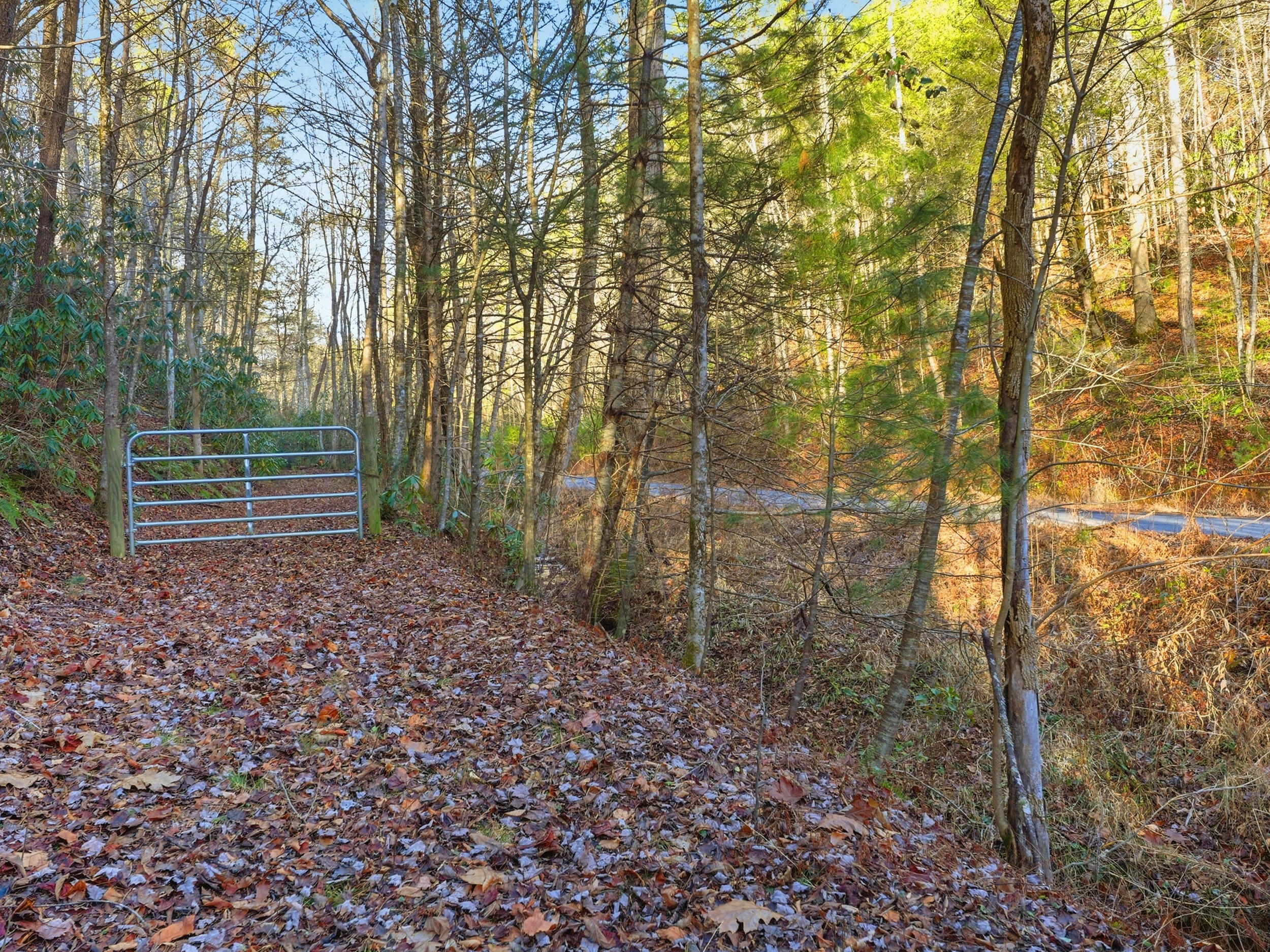 1R-1 Branam Hollow Road