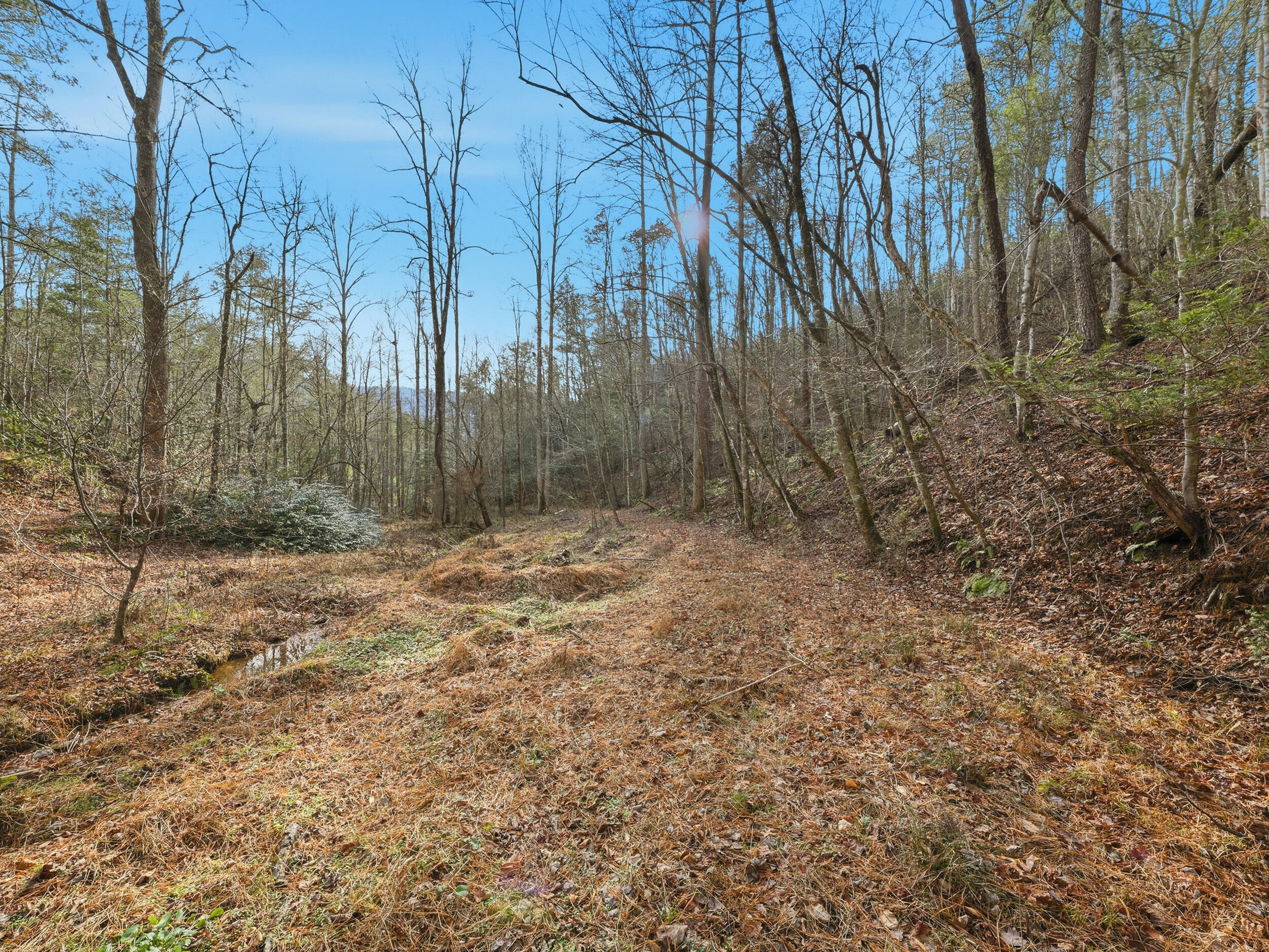 1R-1 Branam Hollow Road