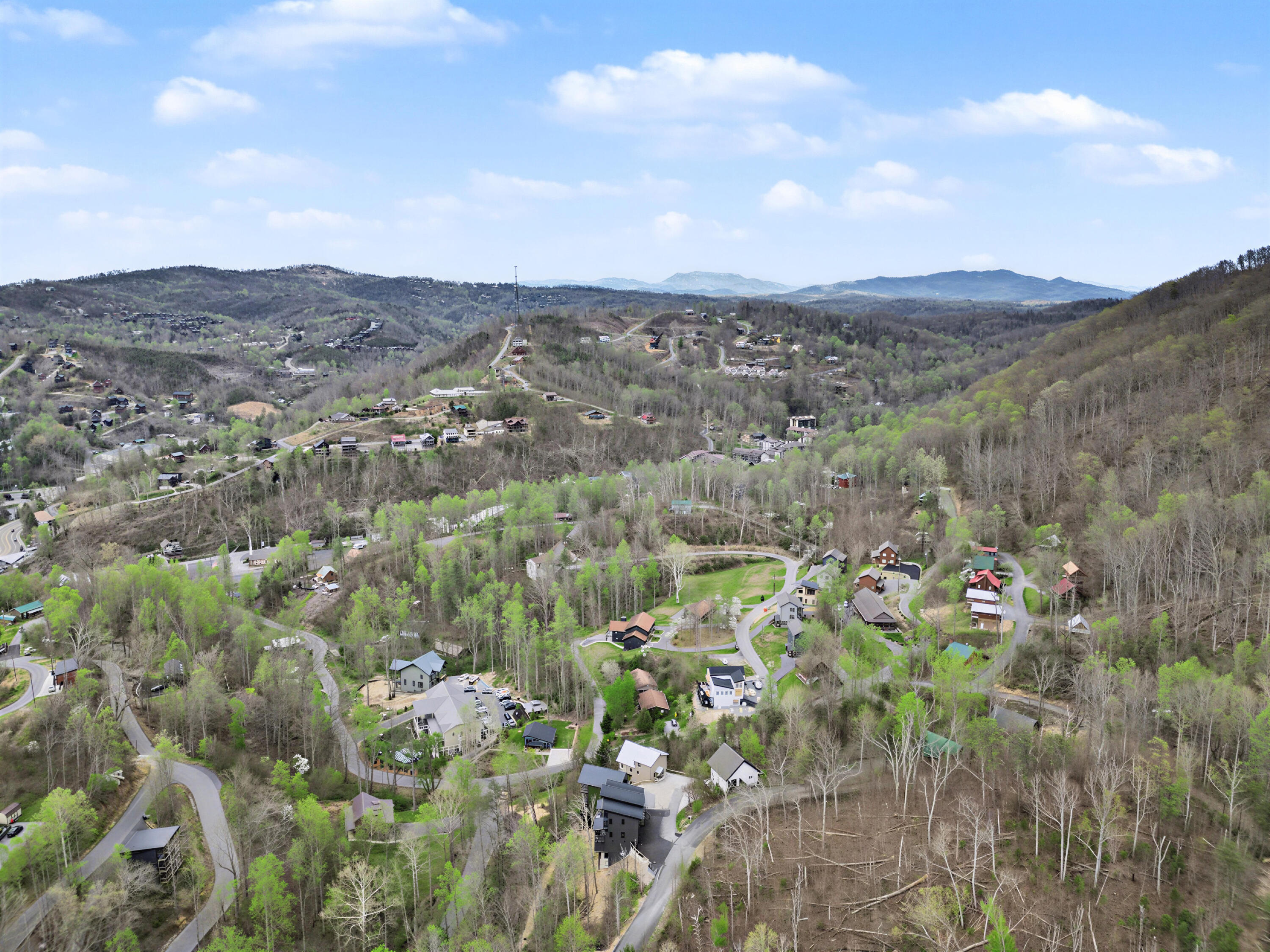 223 Chimney Tops Way