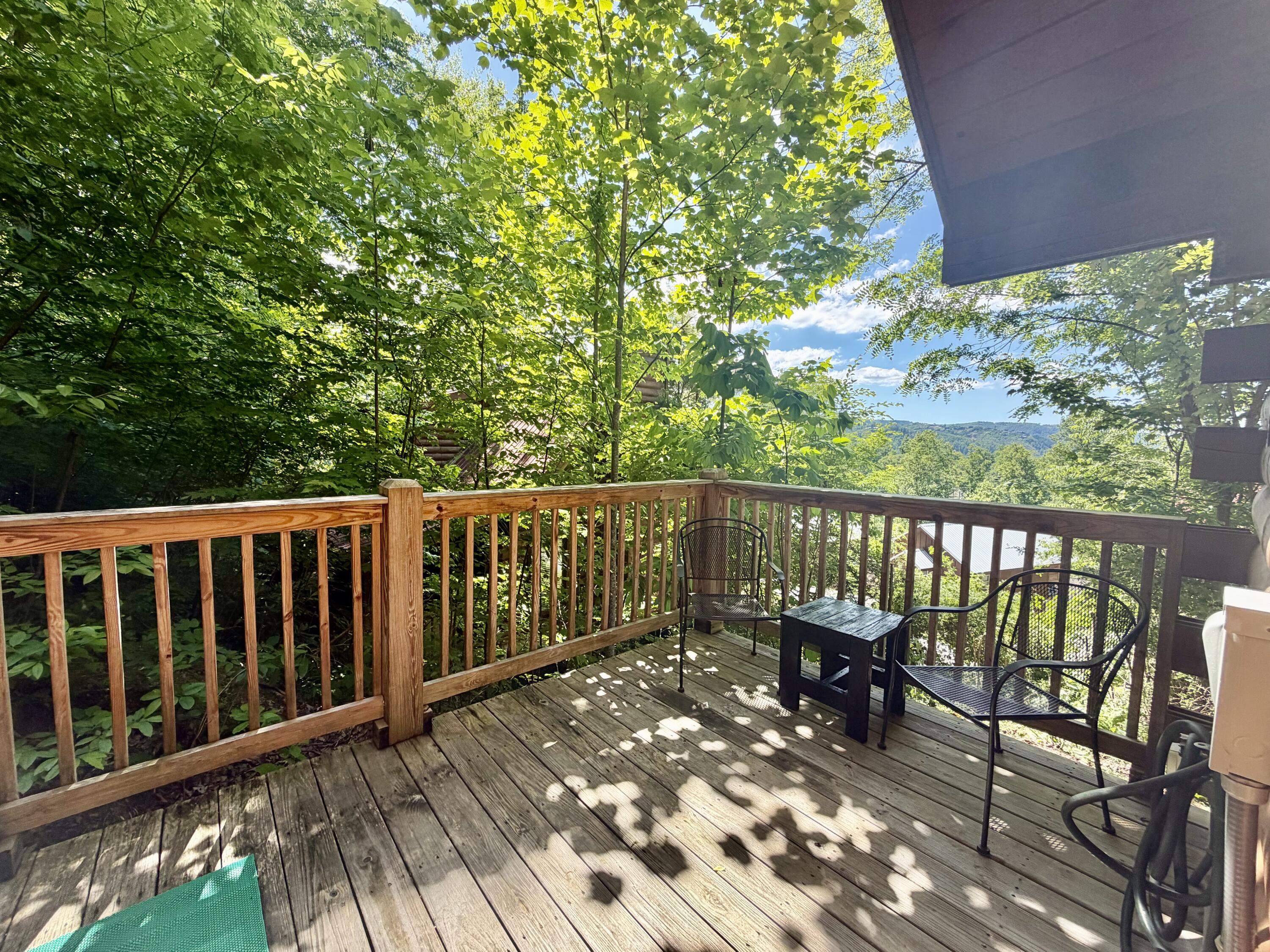 411 Abrams Falls Way