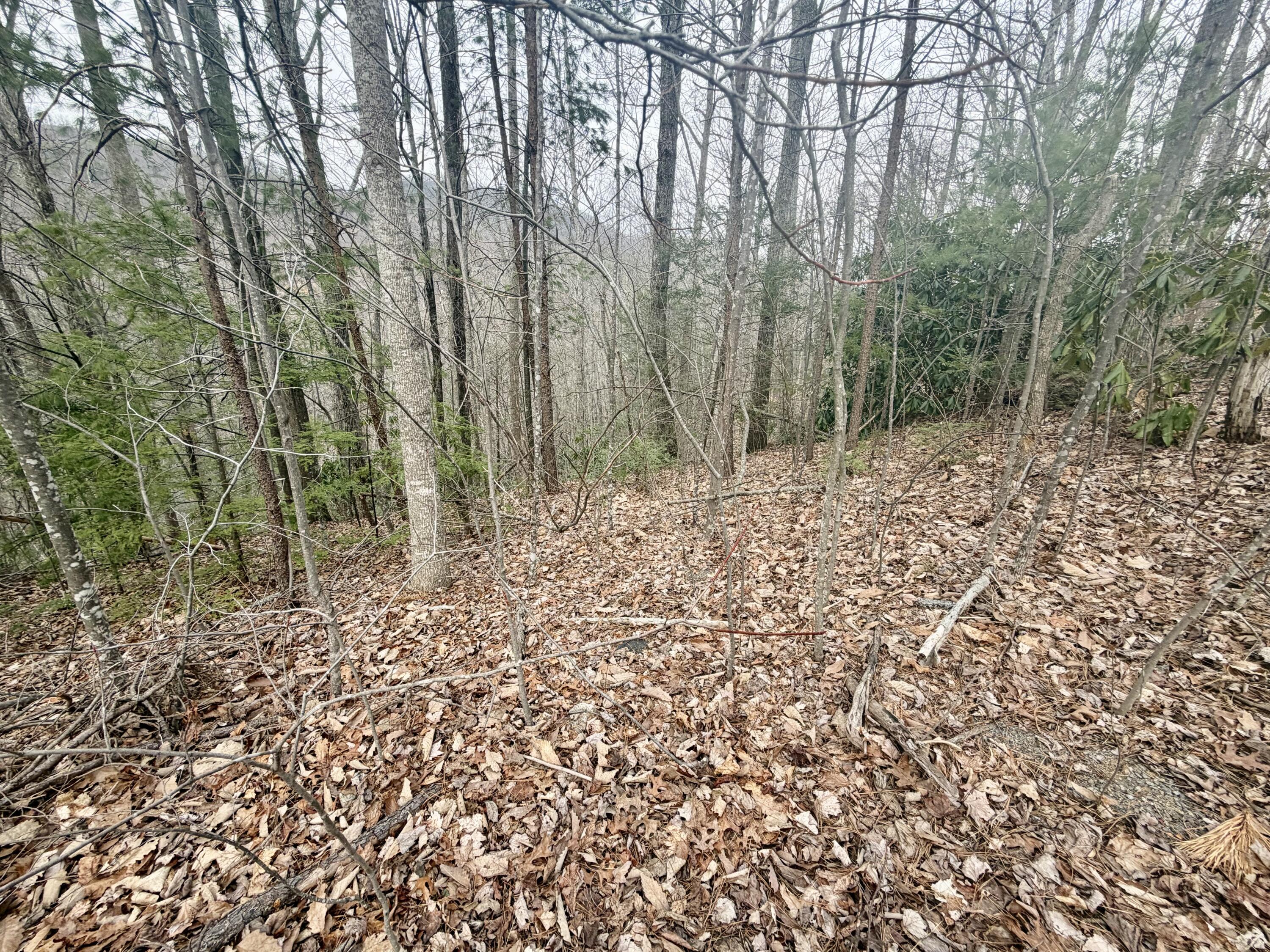 Lot 6 Thissa Way