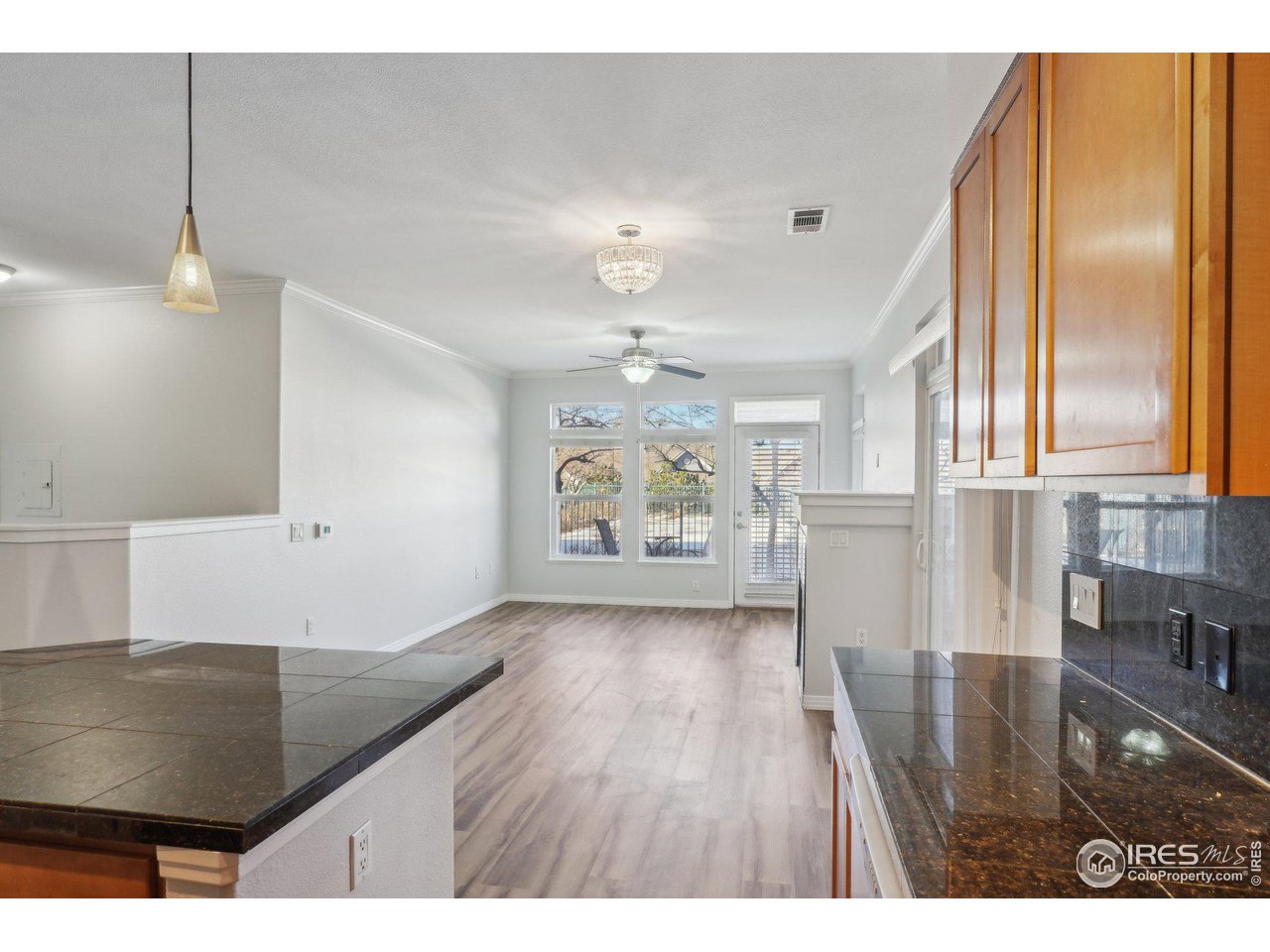 10184 Park Meadows Dr 1120