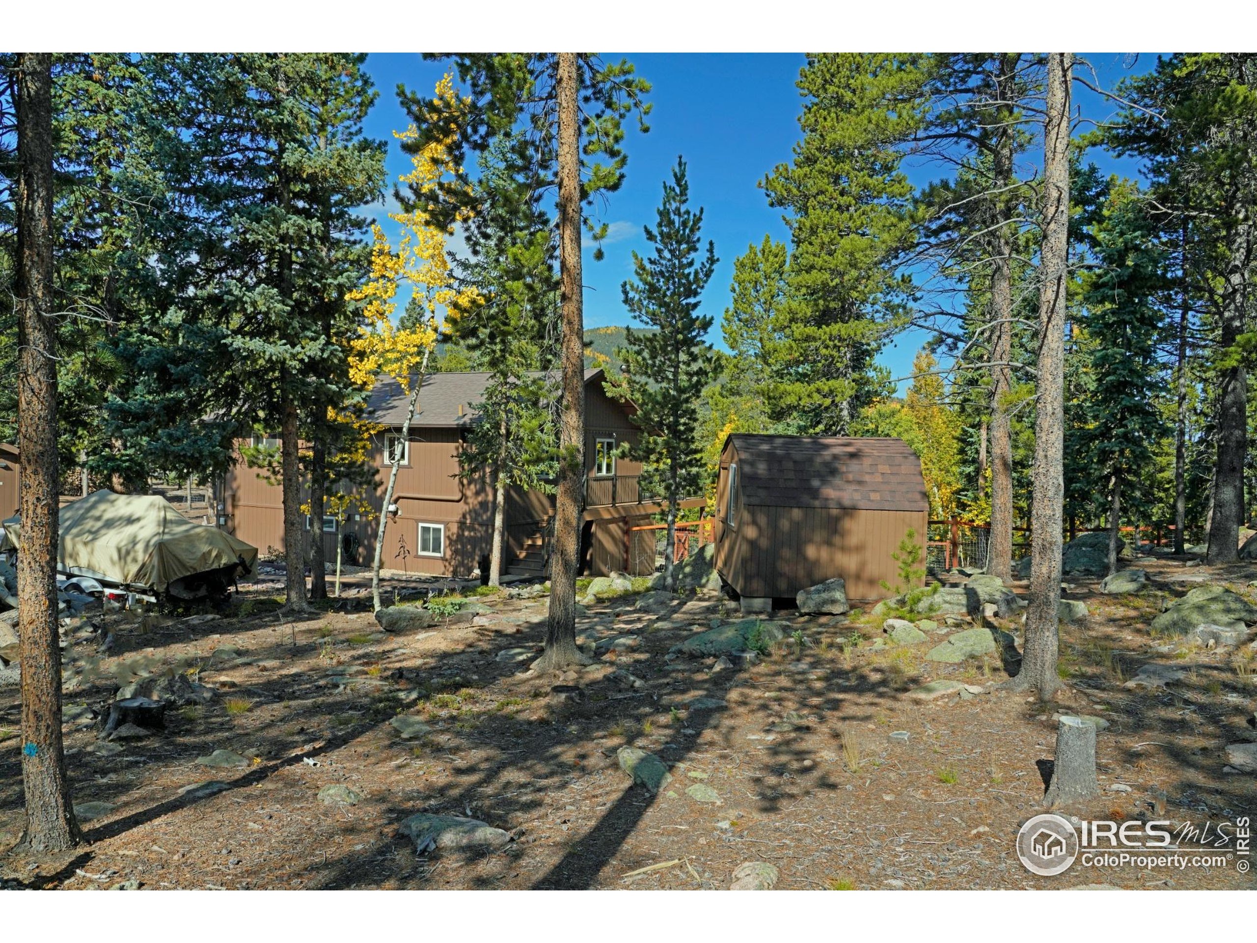10649 Christopher Dr