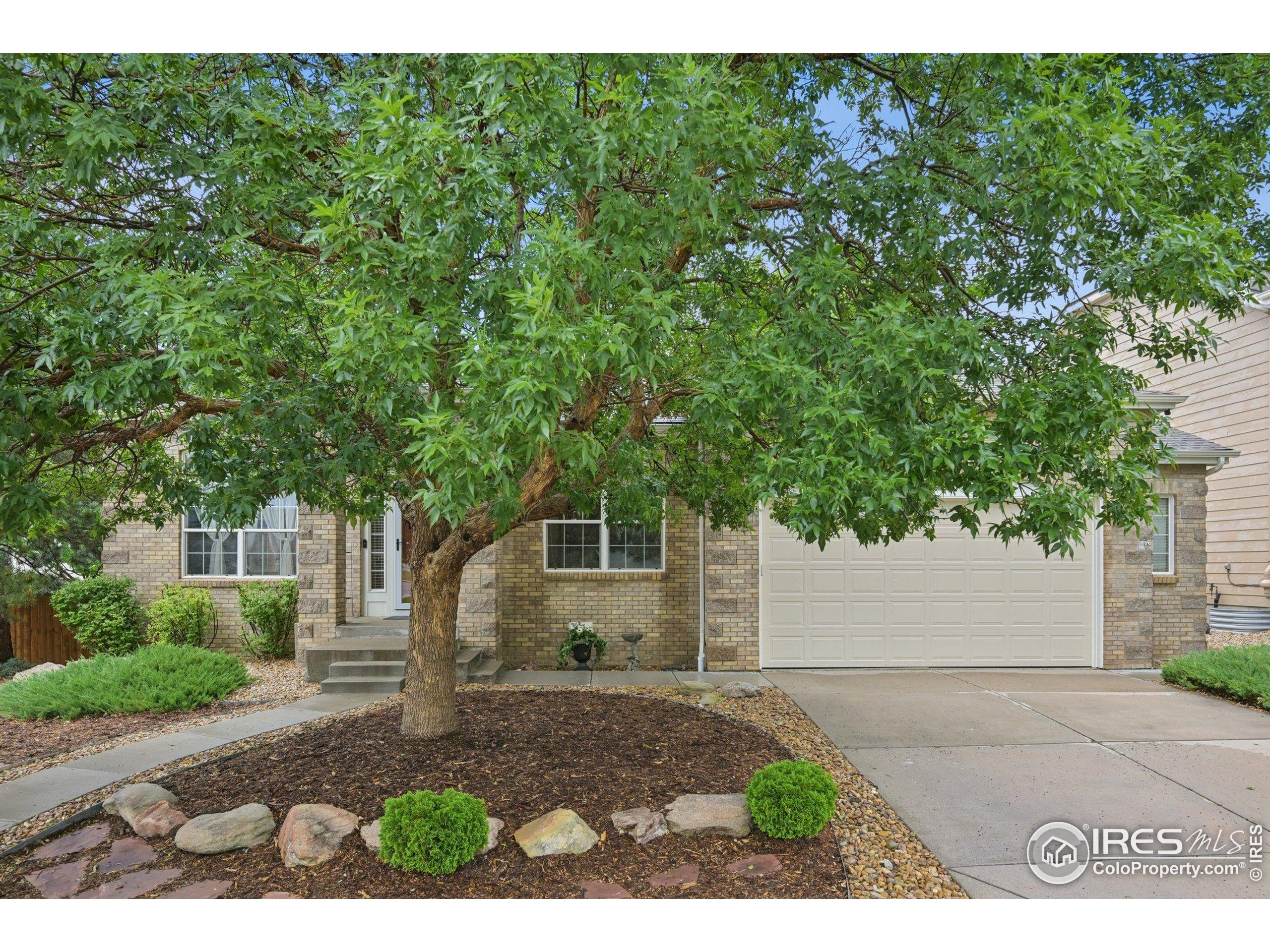 3991 Stampede Dr