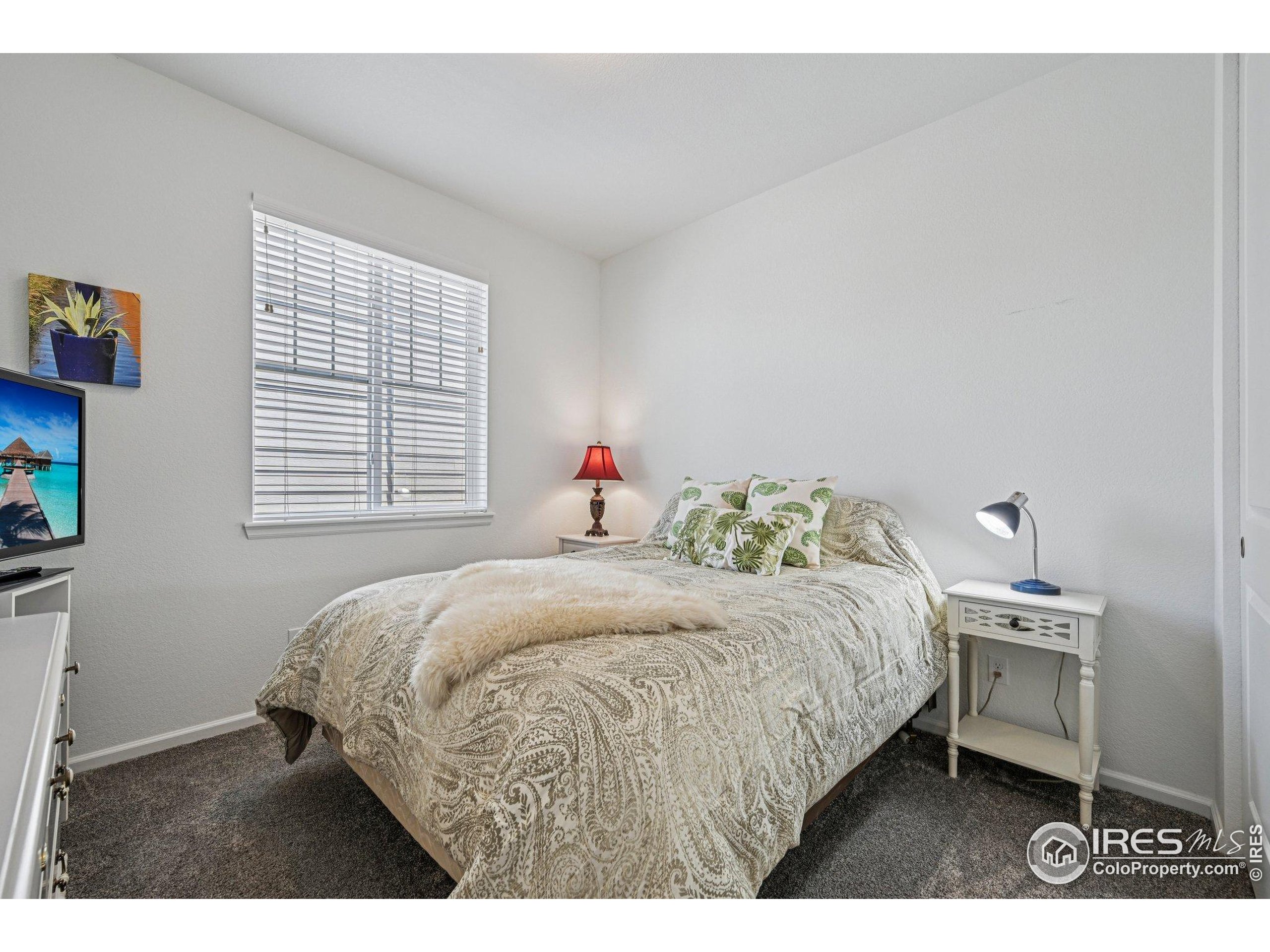 3708 White Rose Loop