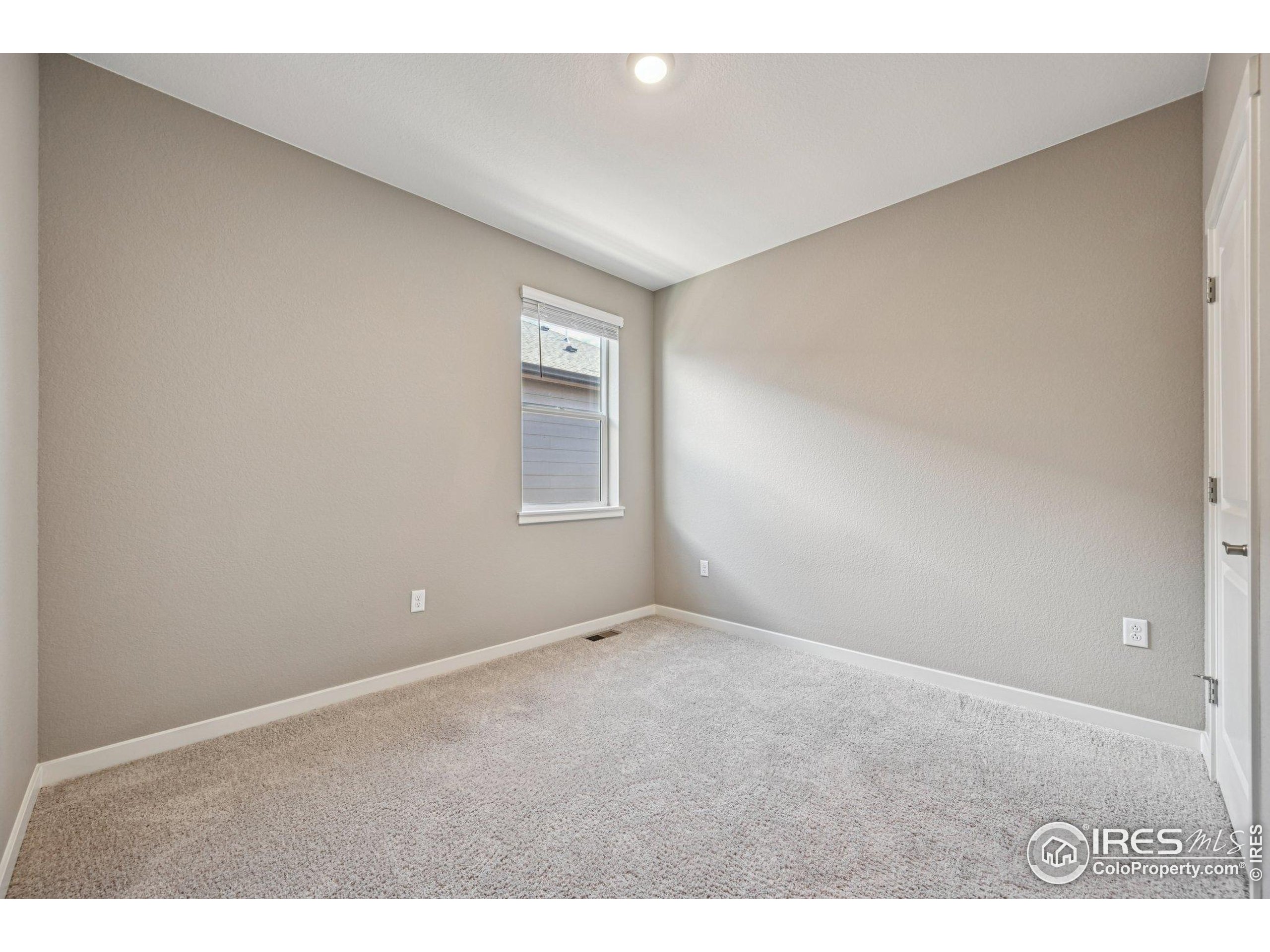 2159 Indian Balsam Dr