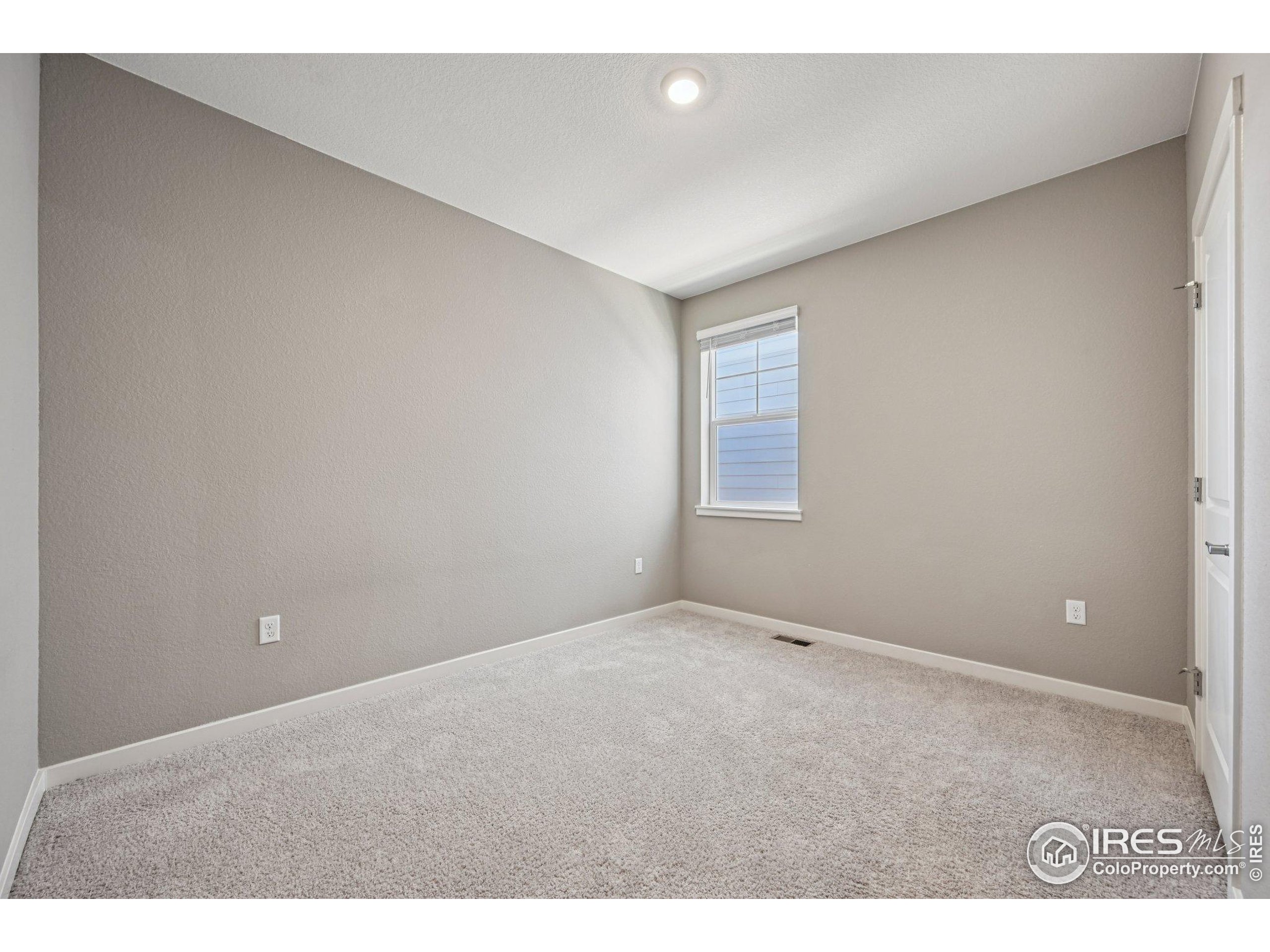 2159 Indian Balsam Dr