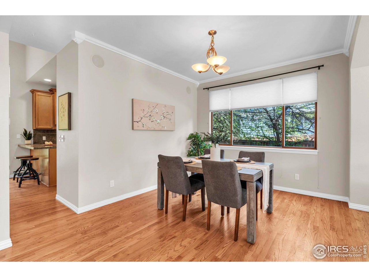 5900 Brandywine Ct