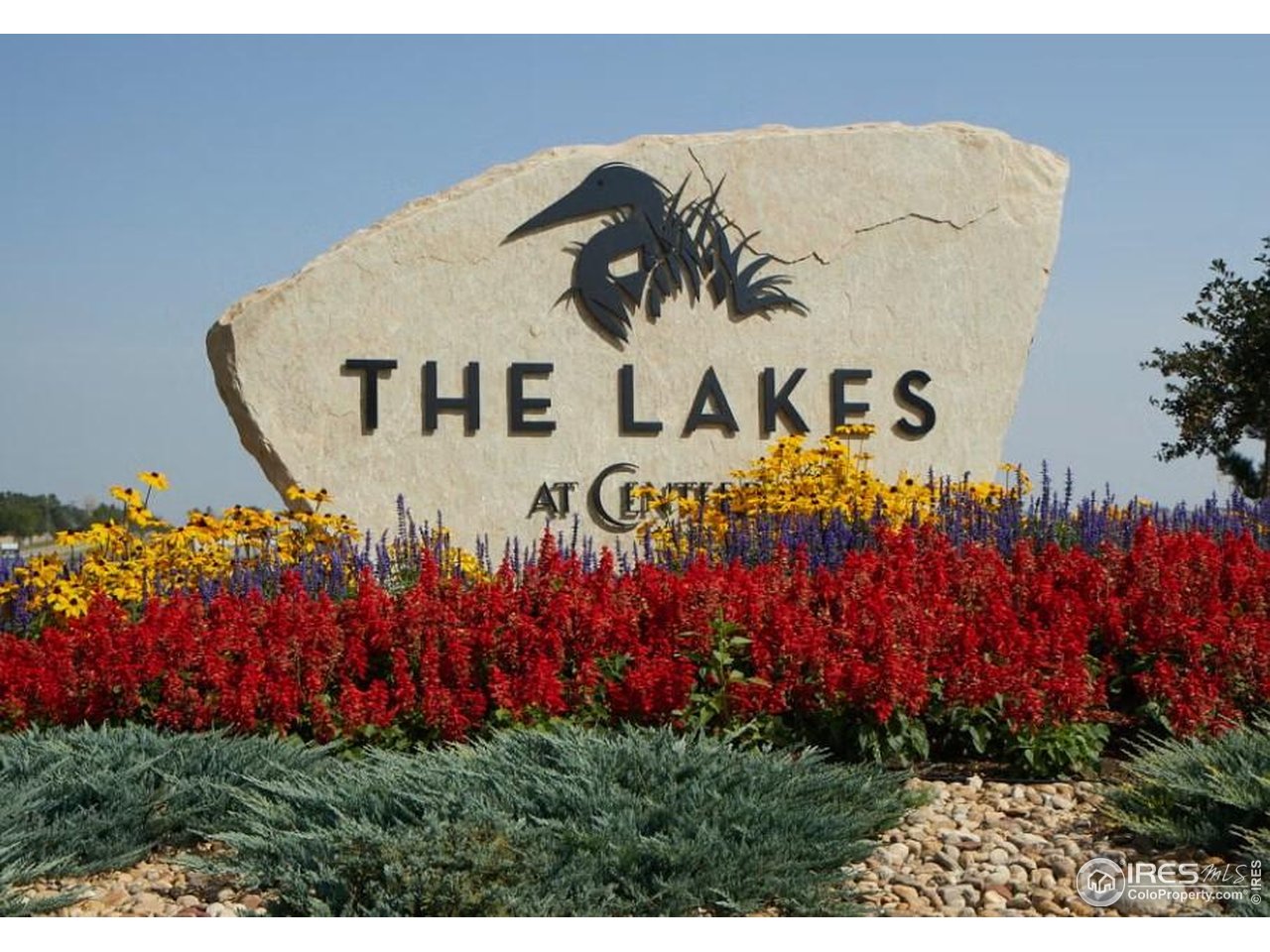 4360 Buffalo Mountain Dr