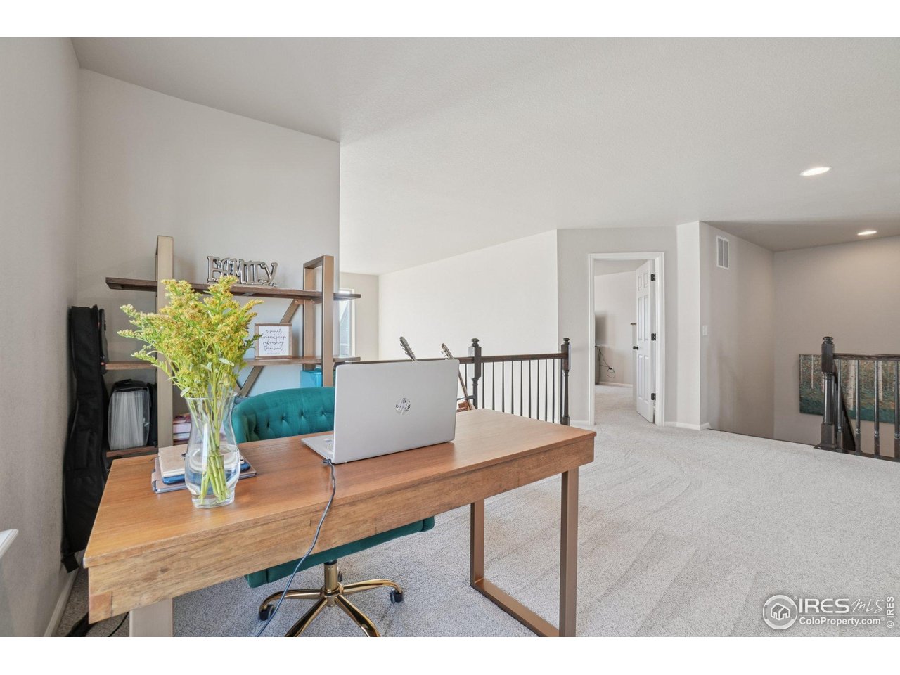 4360 Buffalo Mountain Dr