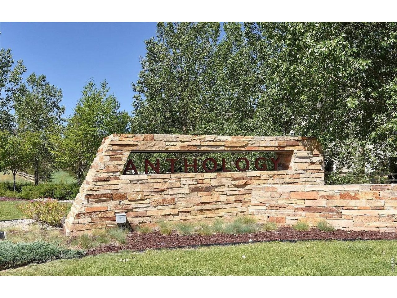 12851 Billingsley Trl