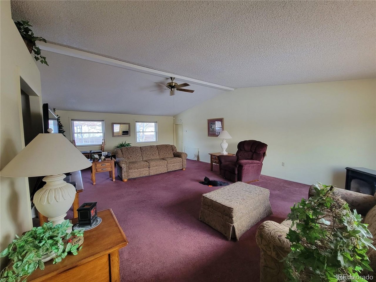759 Palisade Mountain Dr