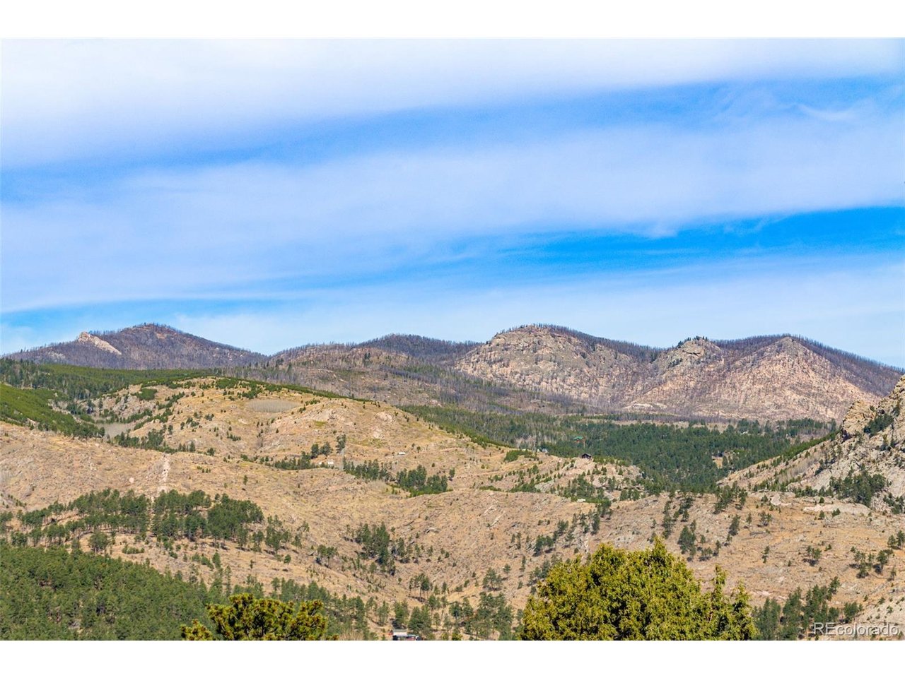 759 Palisade Mountain Dr