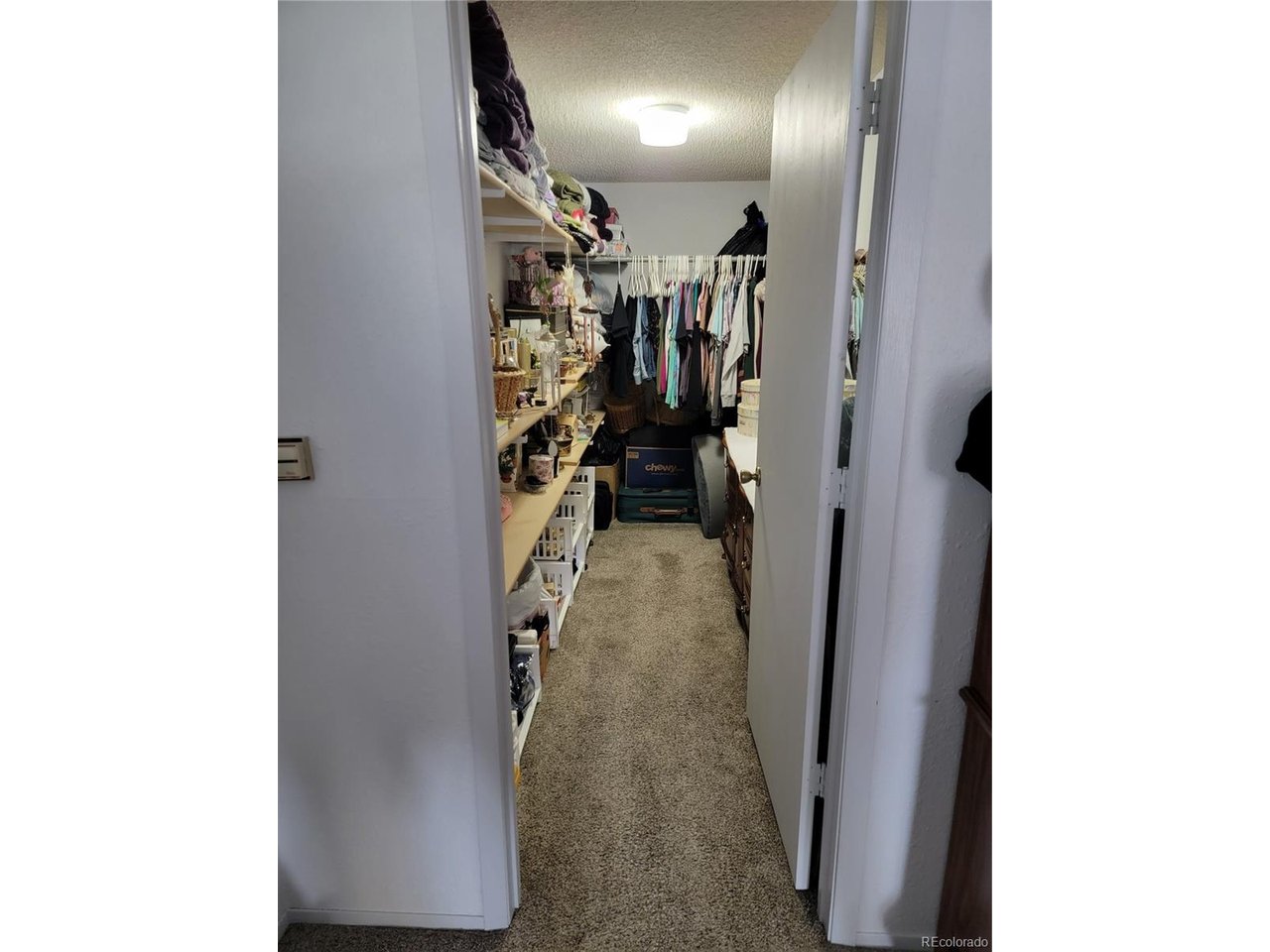 759 Palisade Mountain Dr