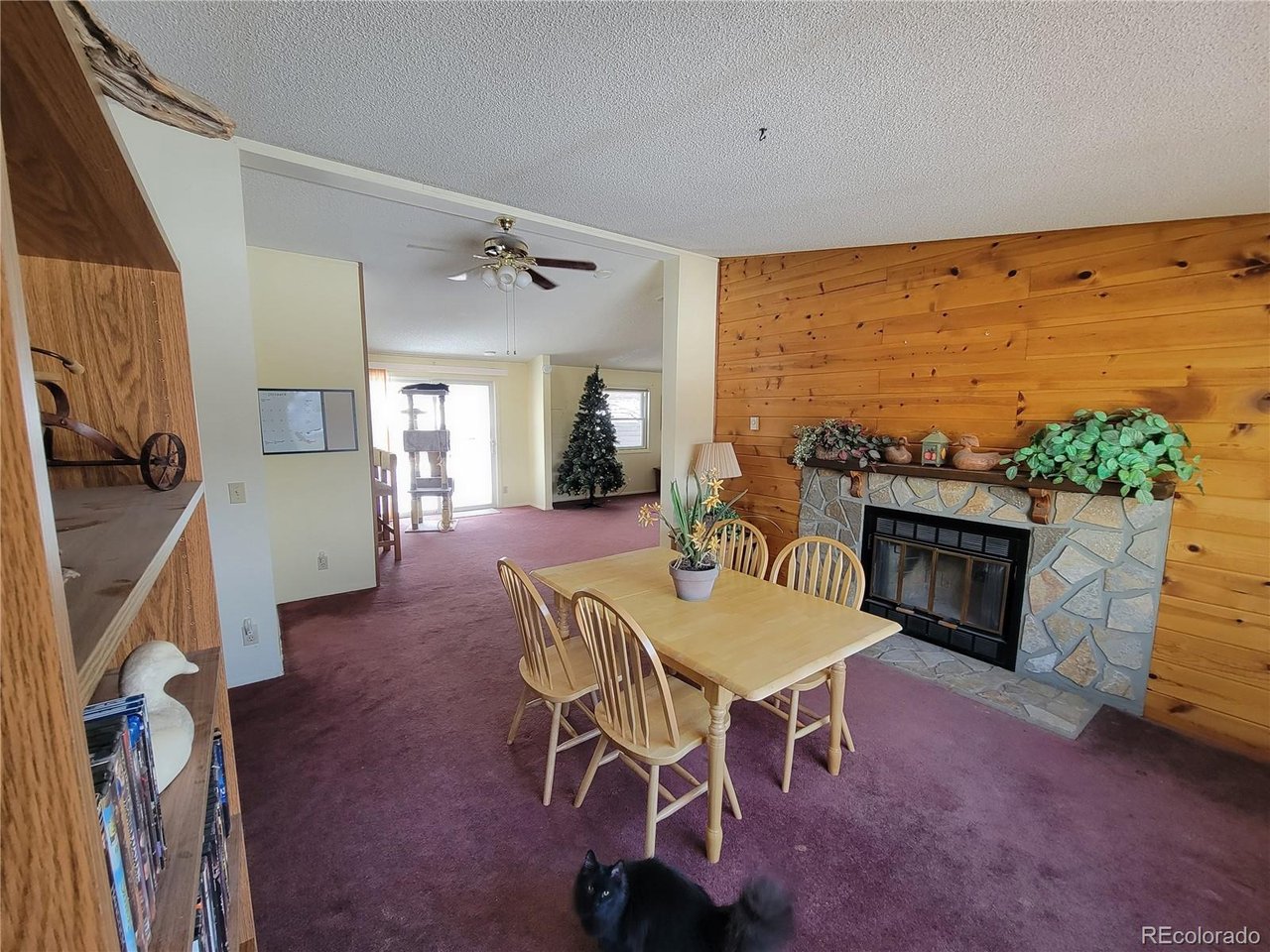759 Palisade Mountain Dr