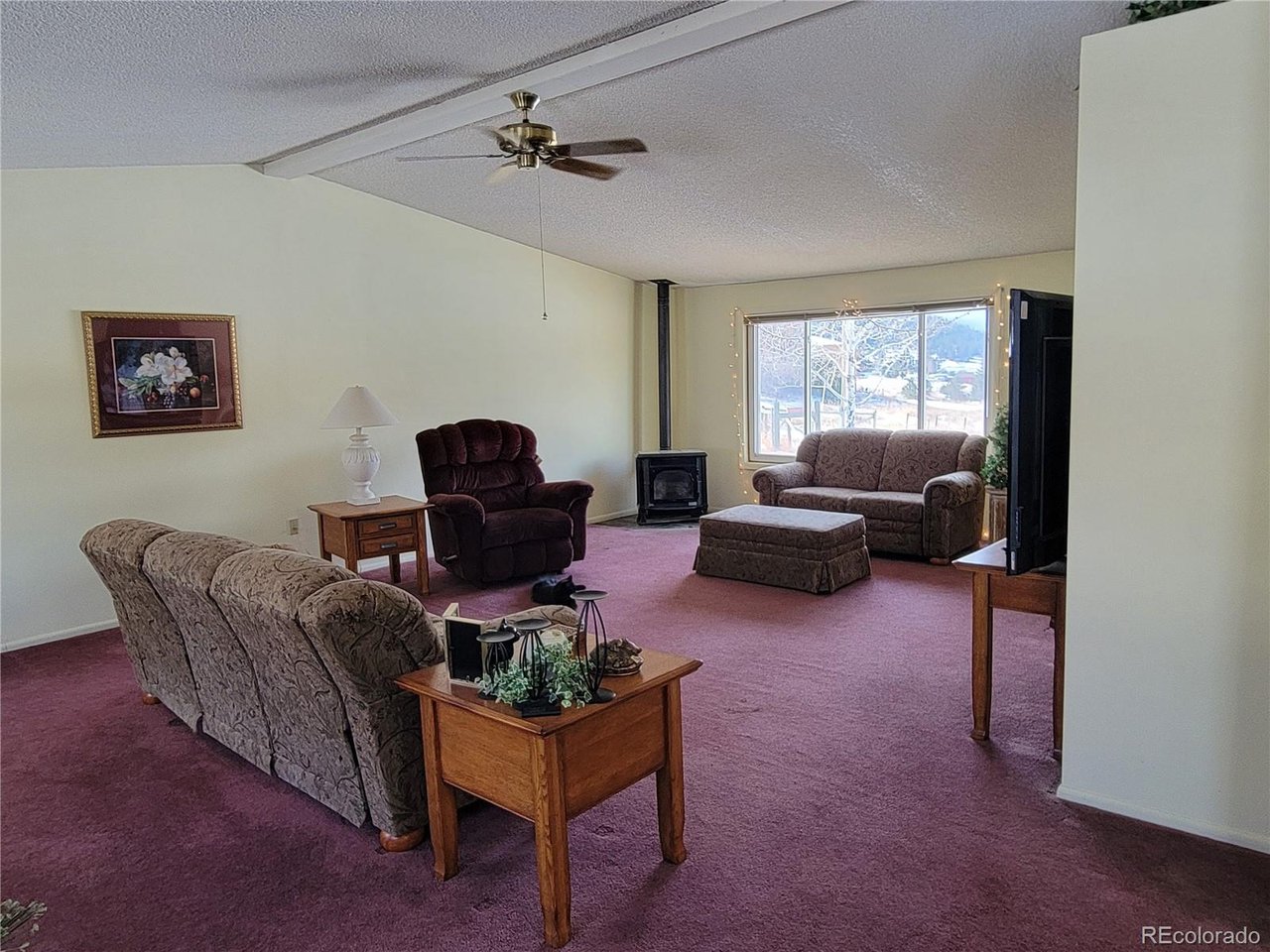 759 Palisade Mountain Dr