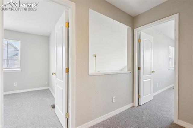 9561 Deerhorn Court 9