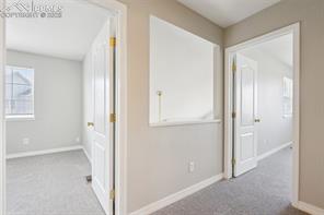 9561 Deerhorn Court 9