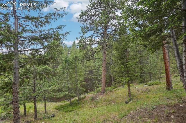 1564 Steamboat Court