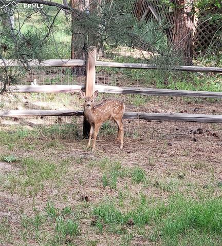 15580 Deercross Court