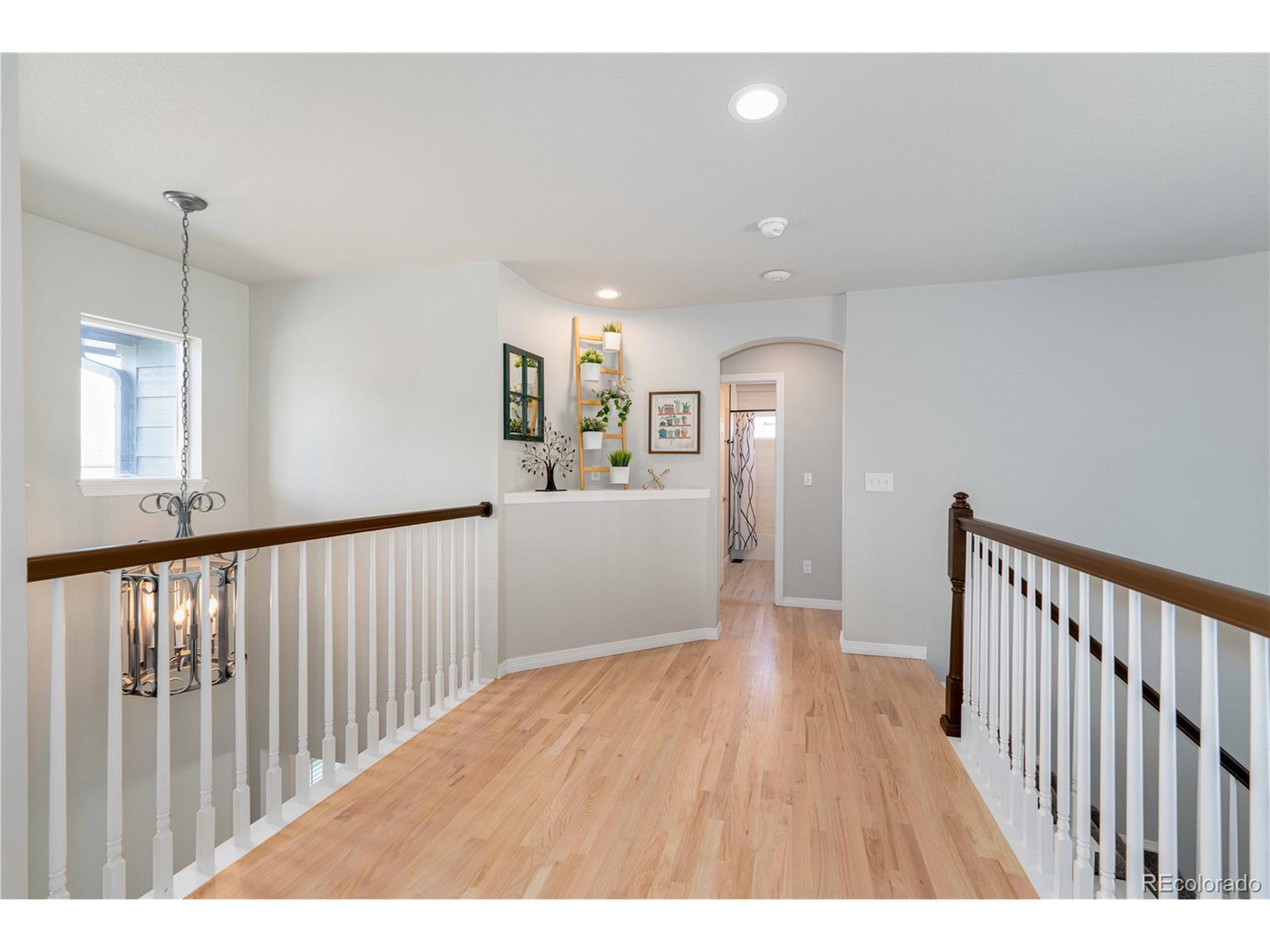 10446 Stonewillow Dr