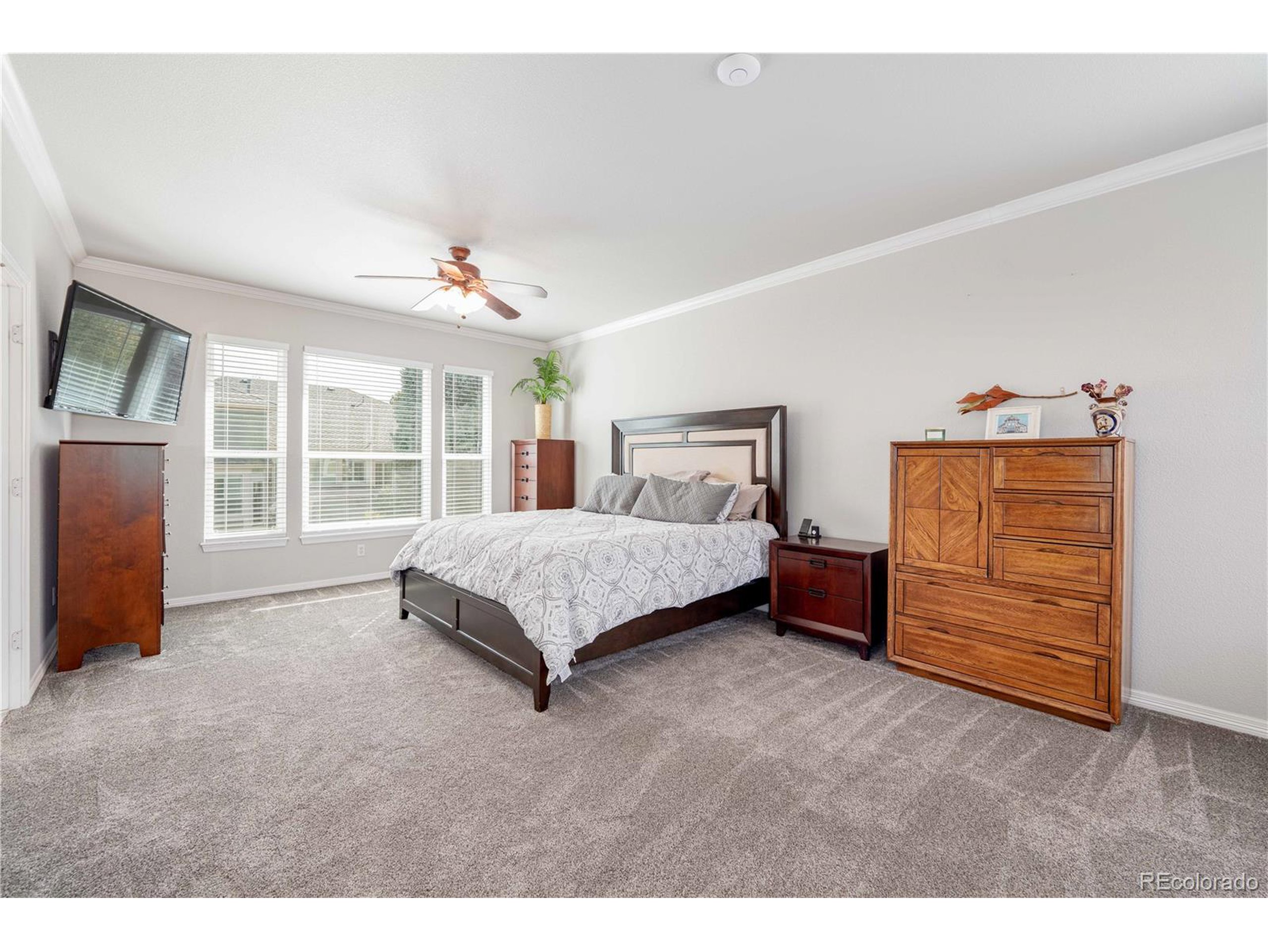 10446 Stonewillow Dr