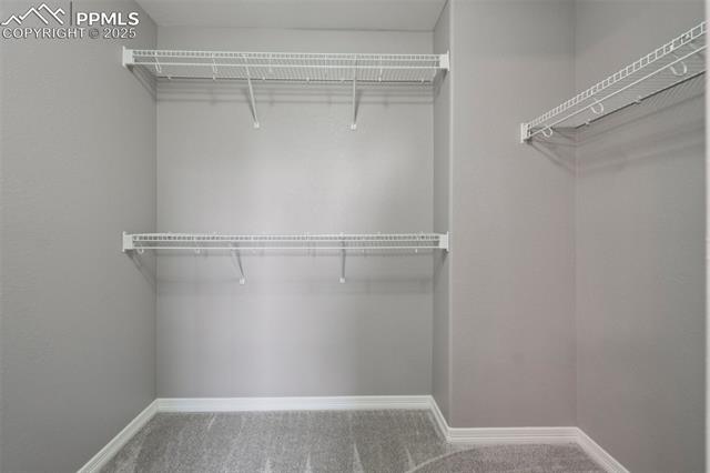 8835 Edinburgh Circle