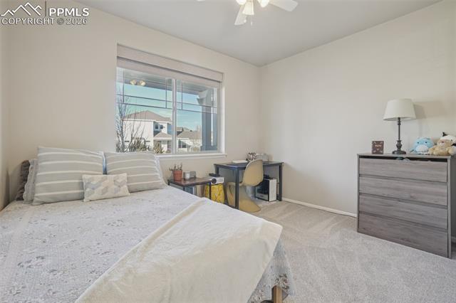 4360 Buffalo Mountain Drive