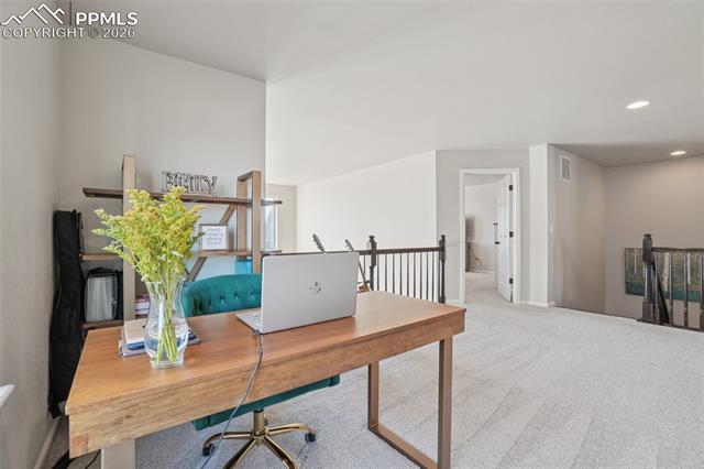 4360 Buffalo Mountain Drive