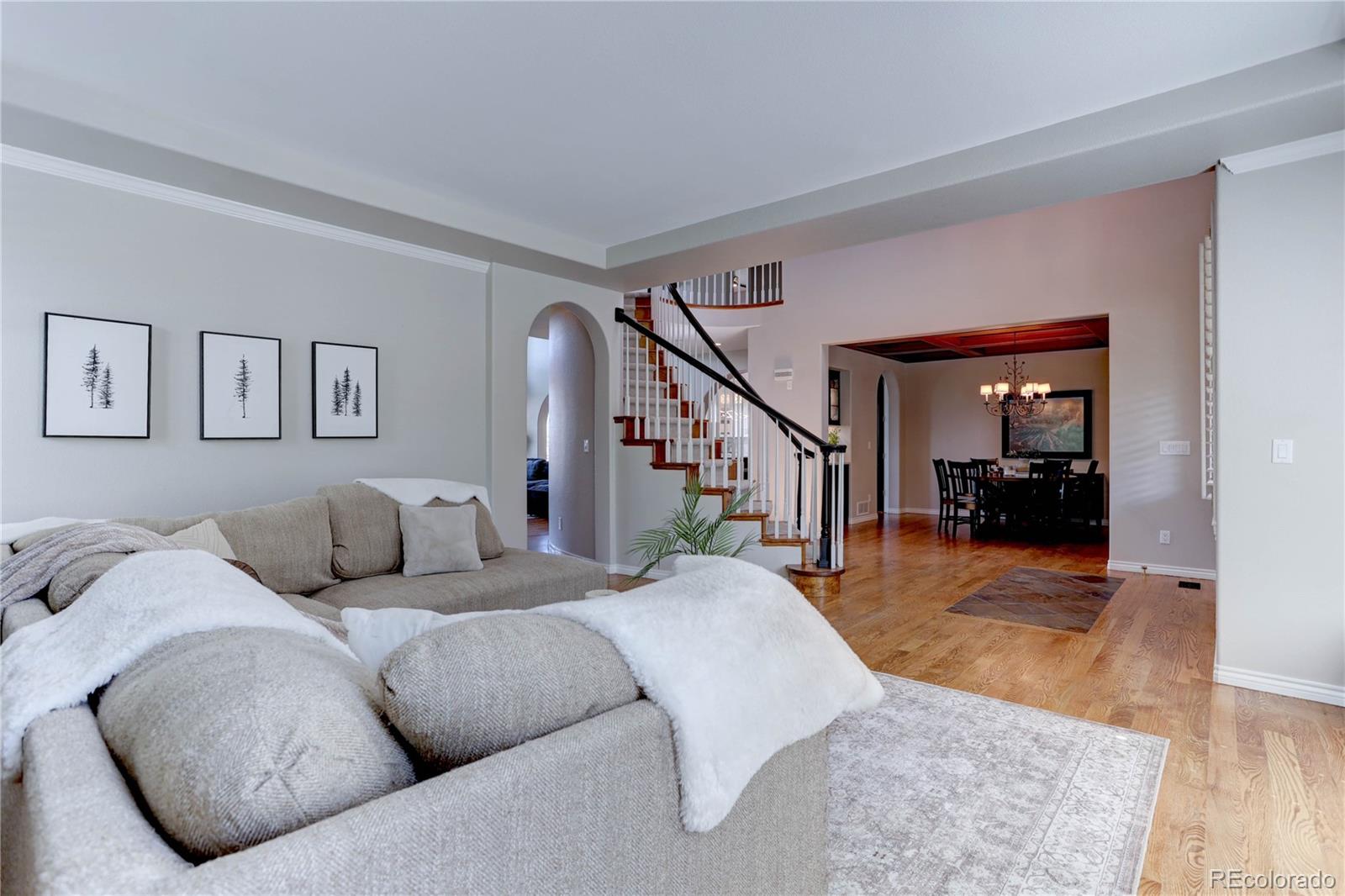 951 Courtland Place