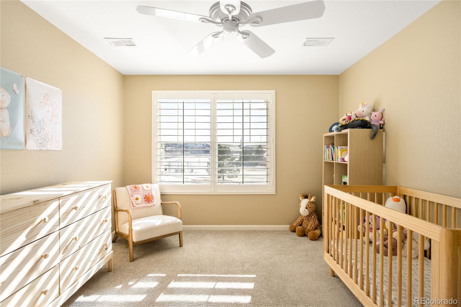 11662 S Maiden Hair Way