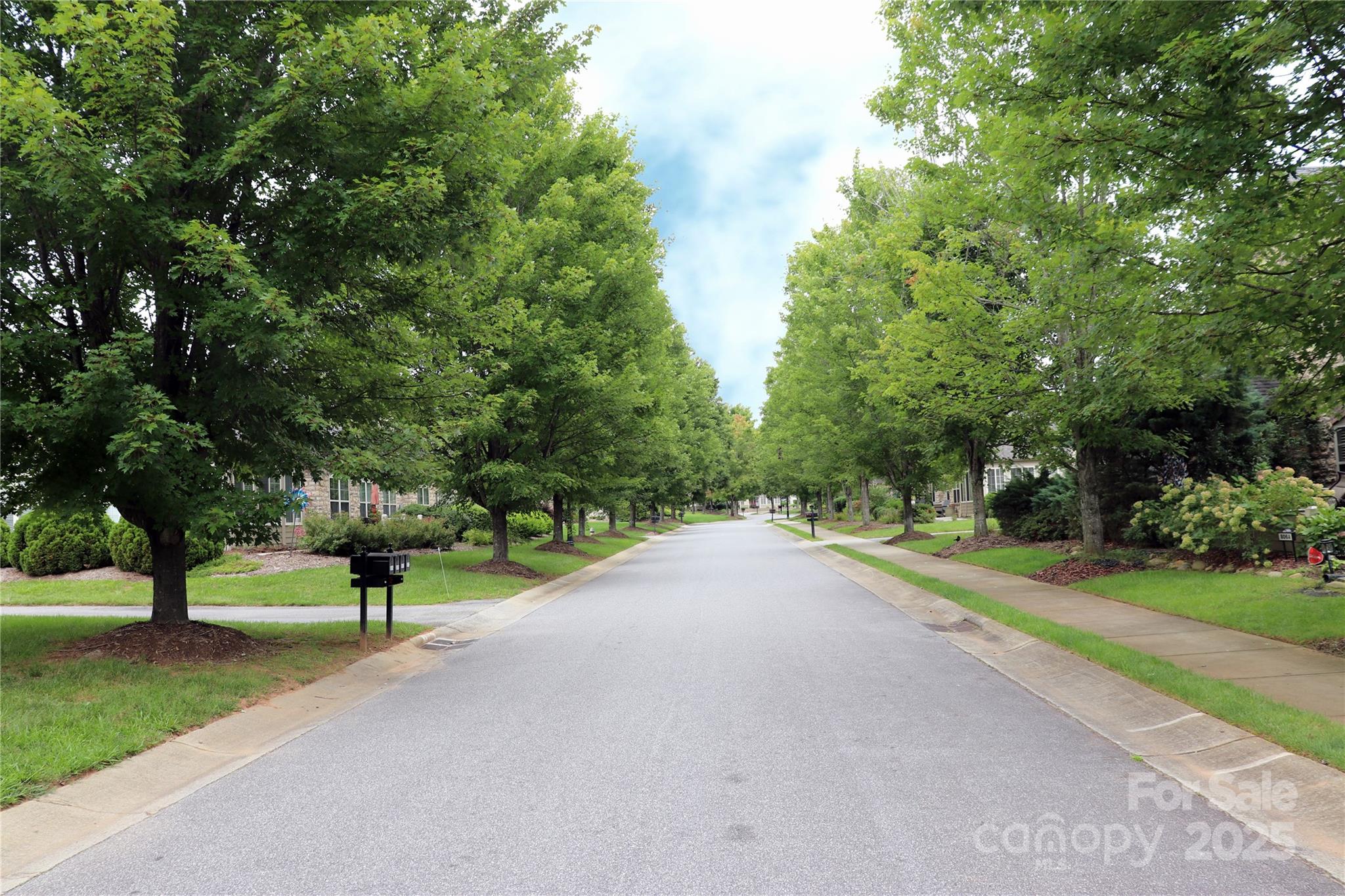 805C Wynnshire Drive Unit: C