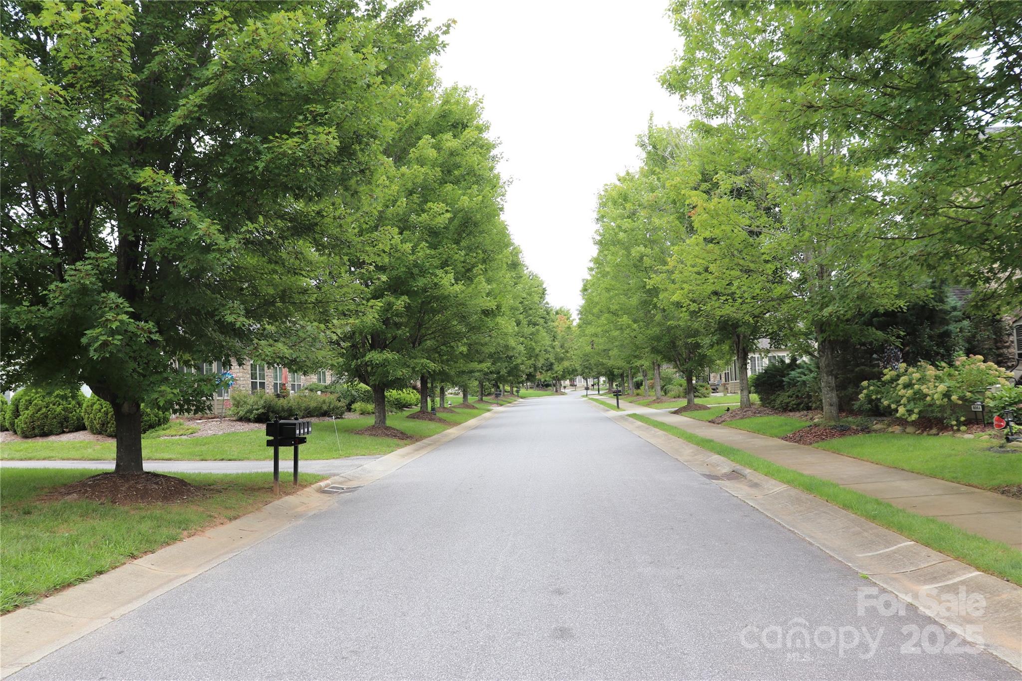 805C Wynnshire Drive Unit: C