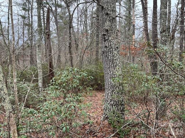 TBD Quiet Creek Lane Unit: 16