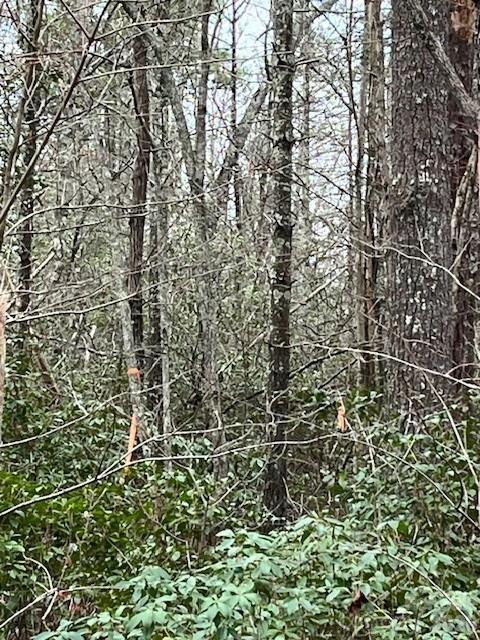 TBD Quiet Creek Lane Unit: 16