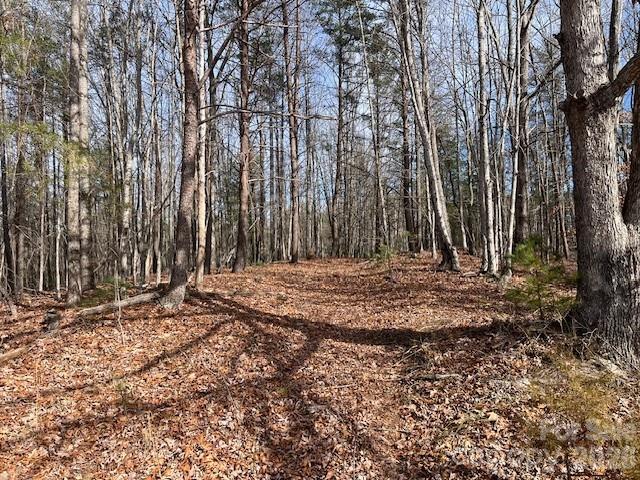 3645 Blue Door School Road