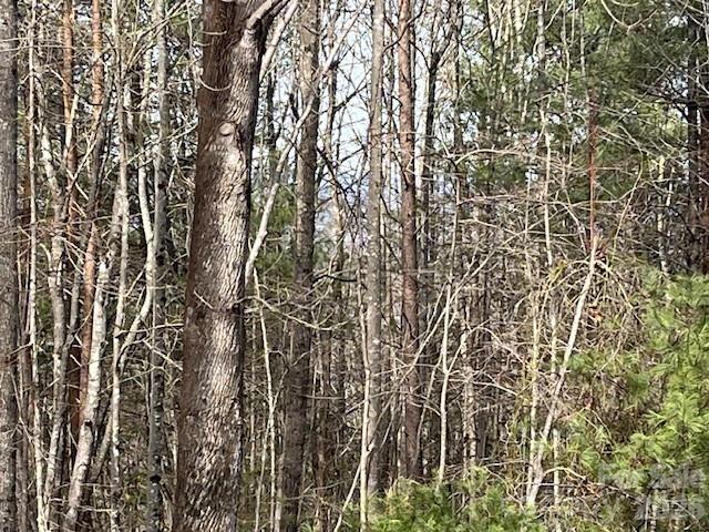 3645 Blue Door School Road