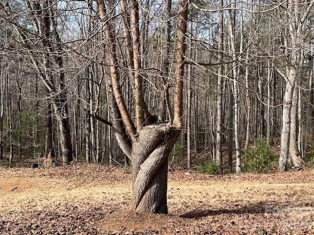 3645 Blue Door School Road