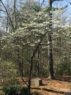 2276 Nature Lane